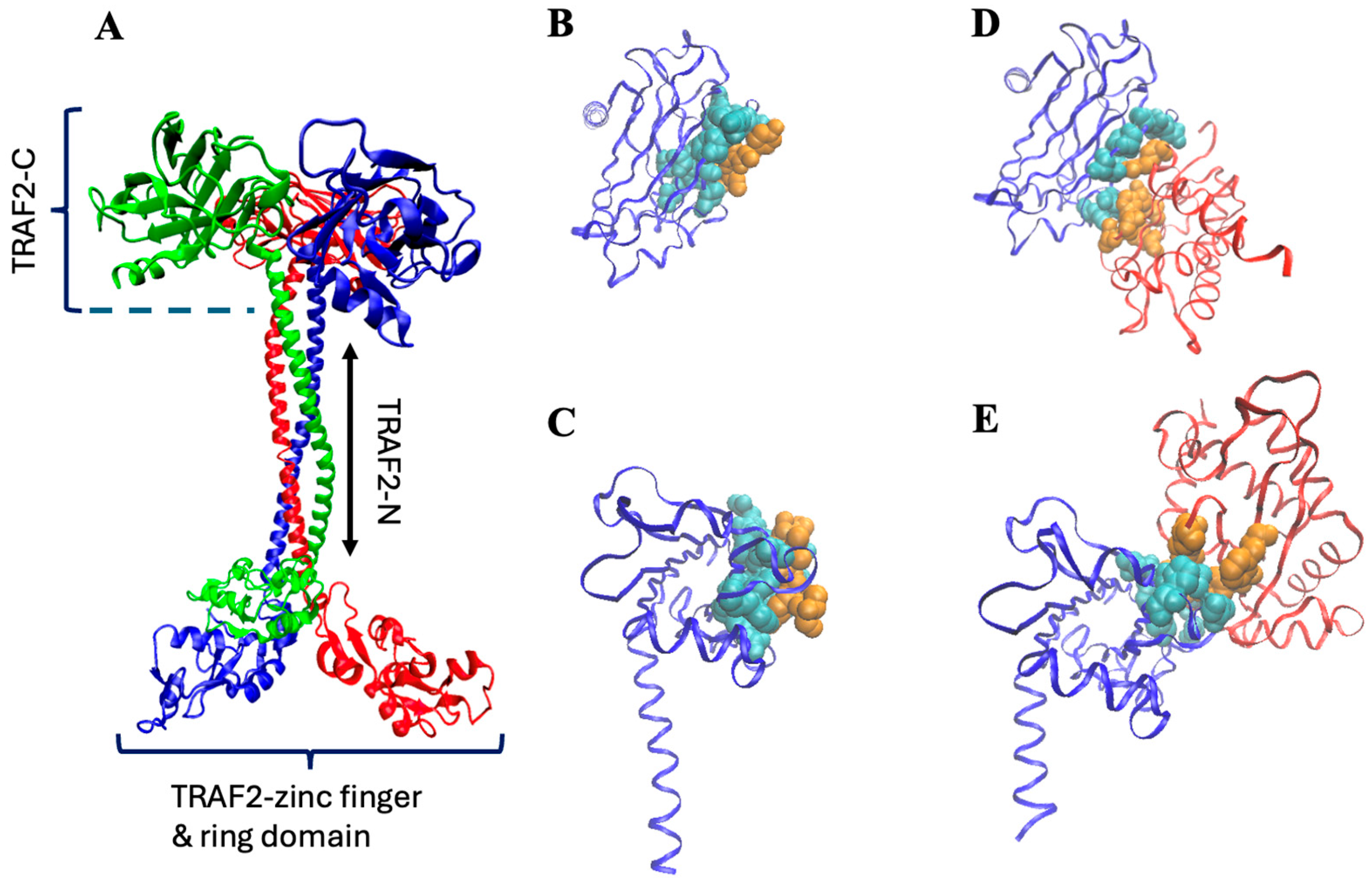 Biomolecules 15 01626 g001