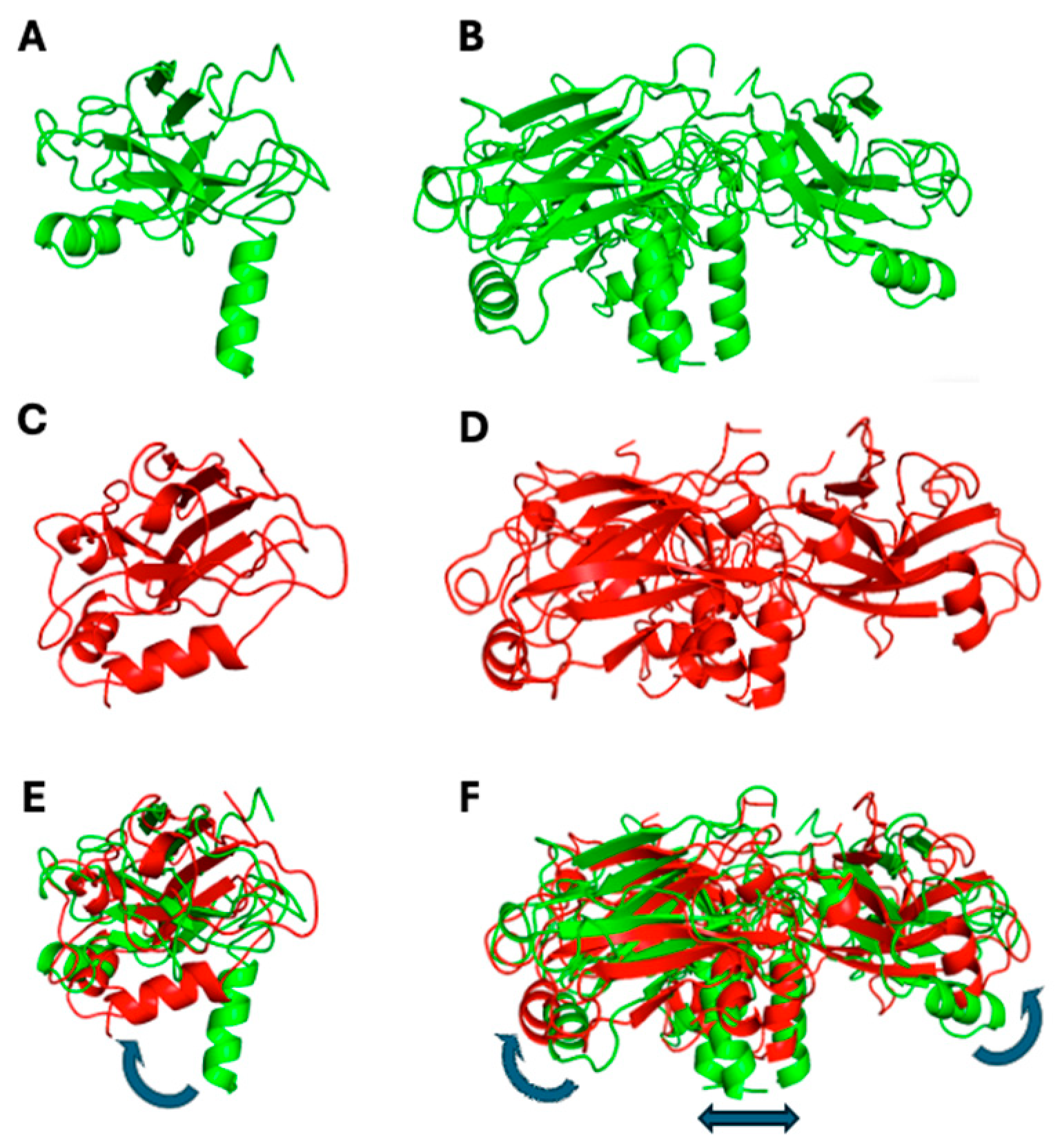 Biomolecules 15 01626 g011