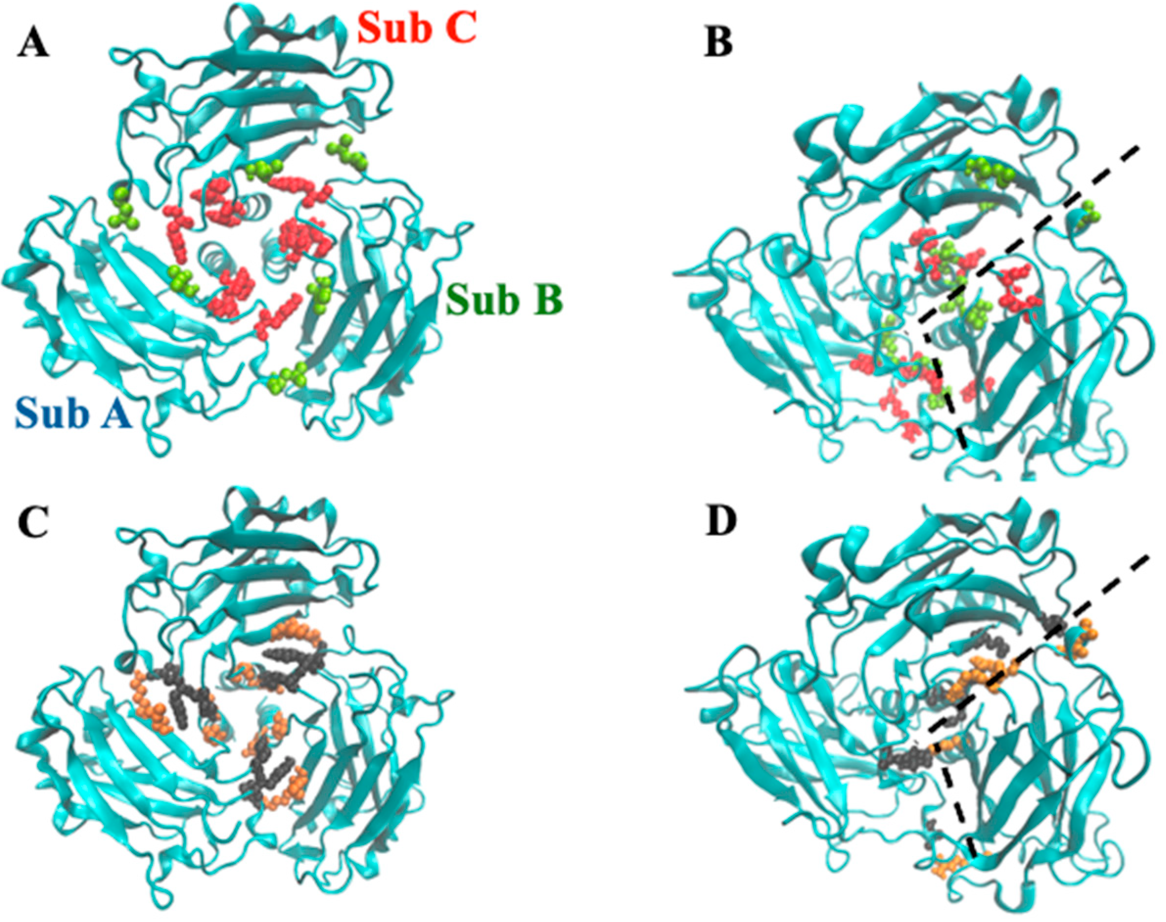 Biomolecules 15 01626 g014