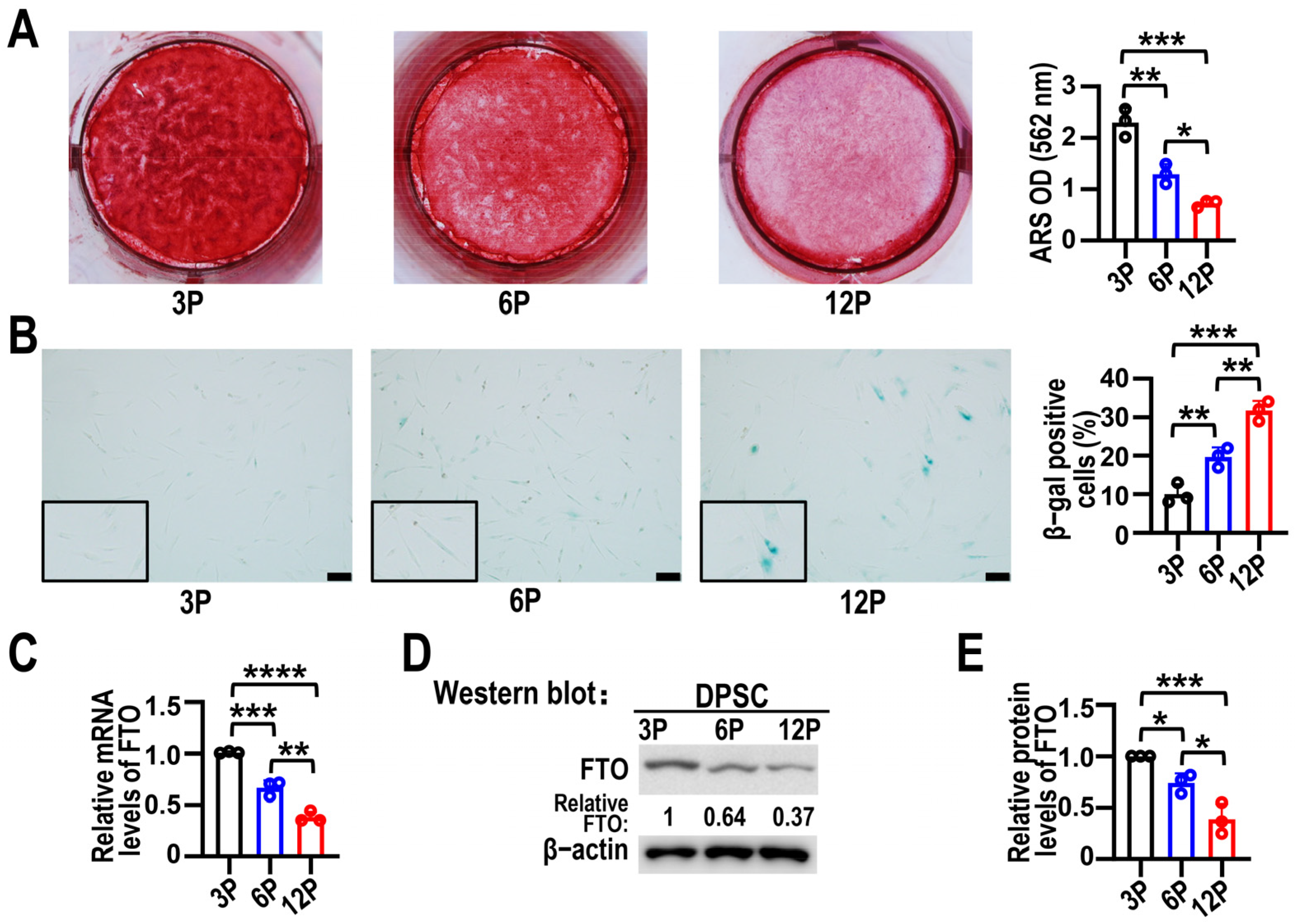 Biomolecules 15 01627 g001