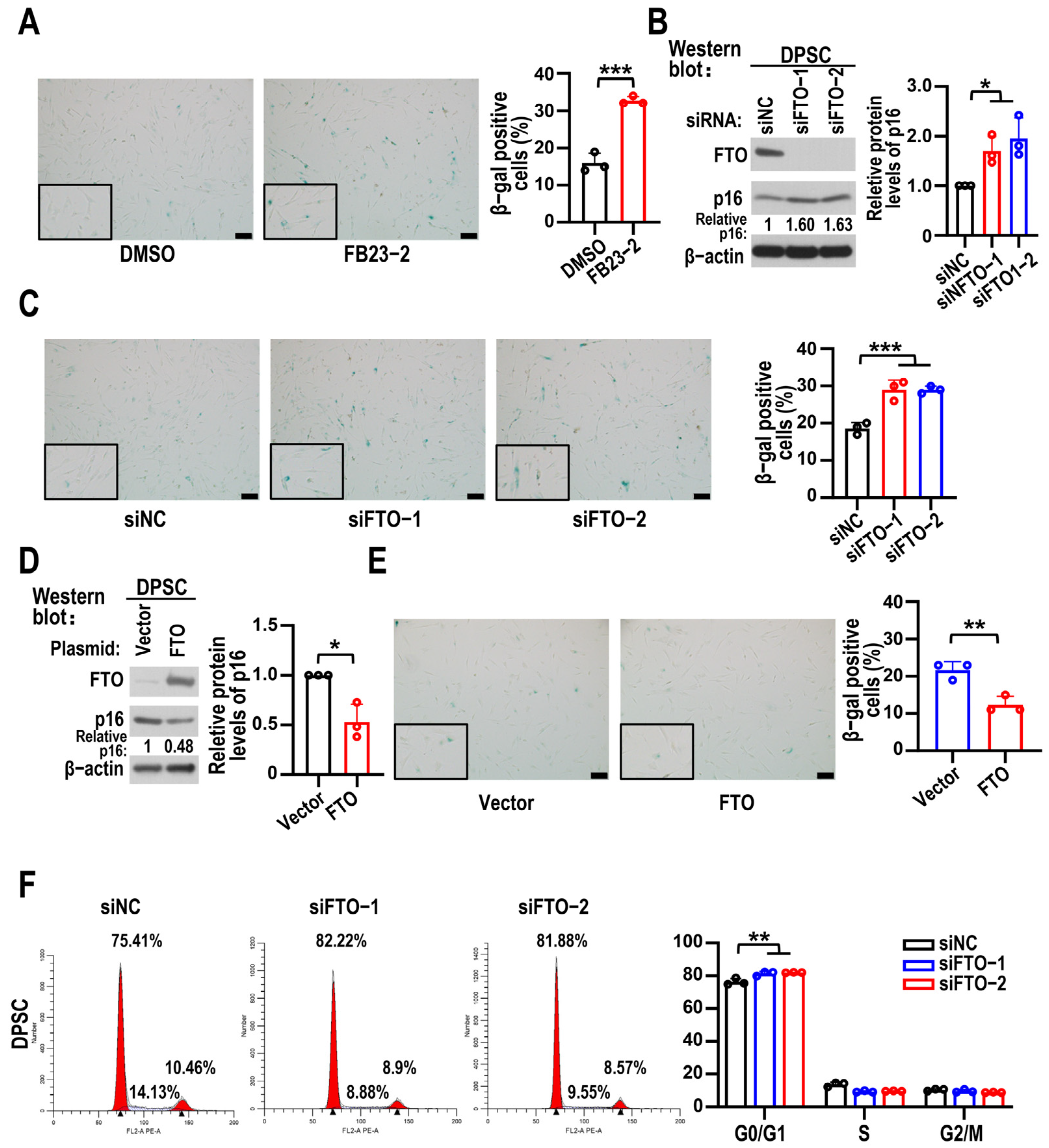 Biomolecules 15 01627 g002