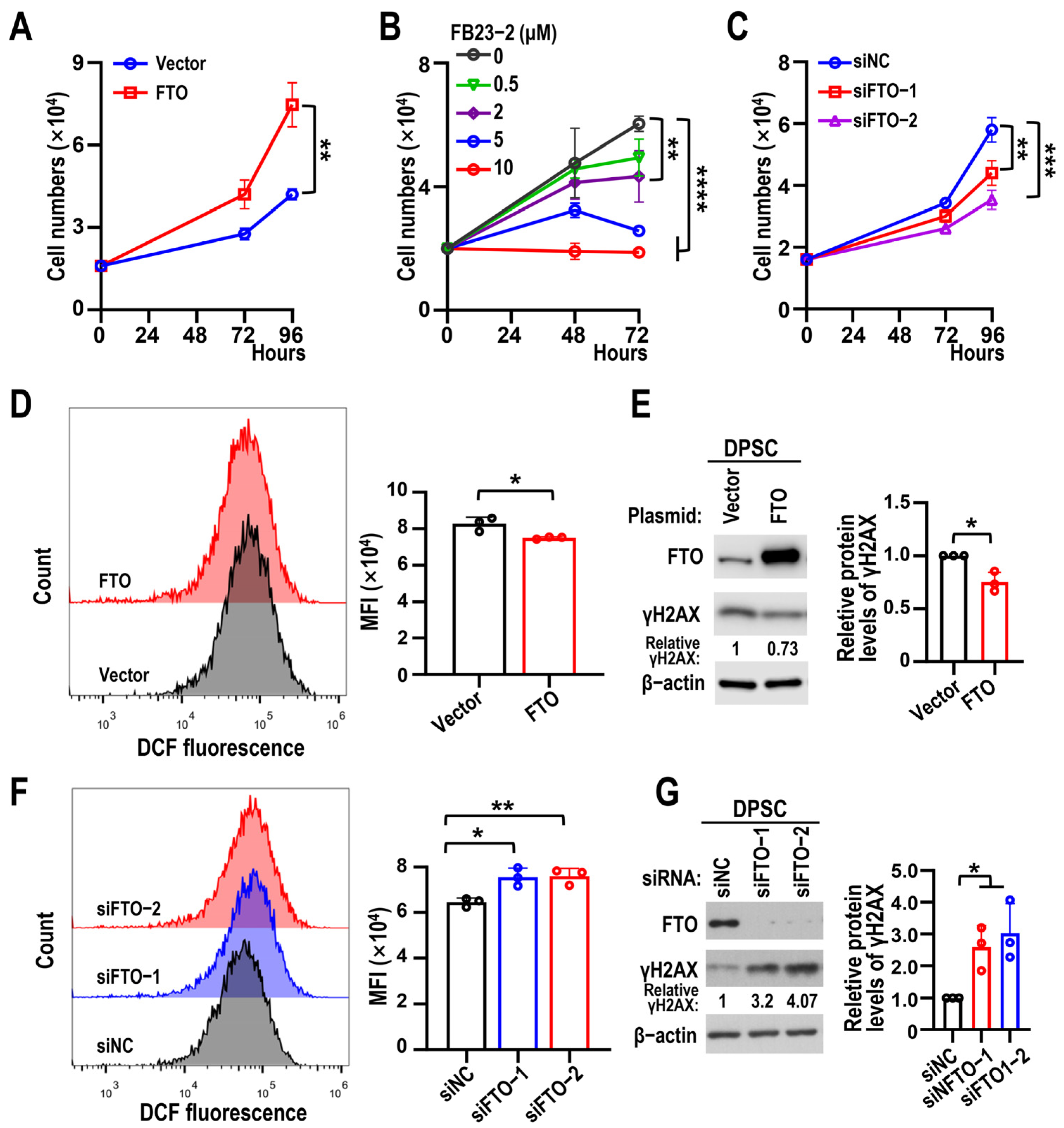 Biomolecules 15 01627 g003