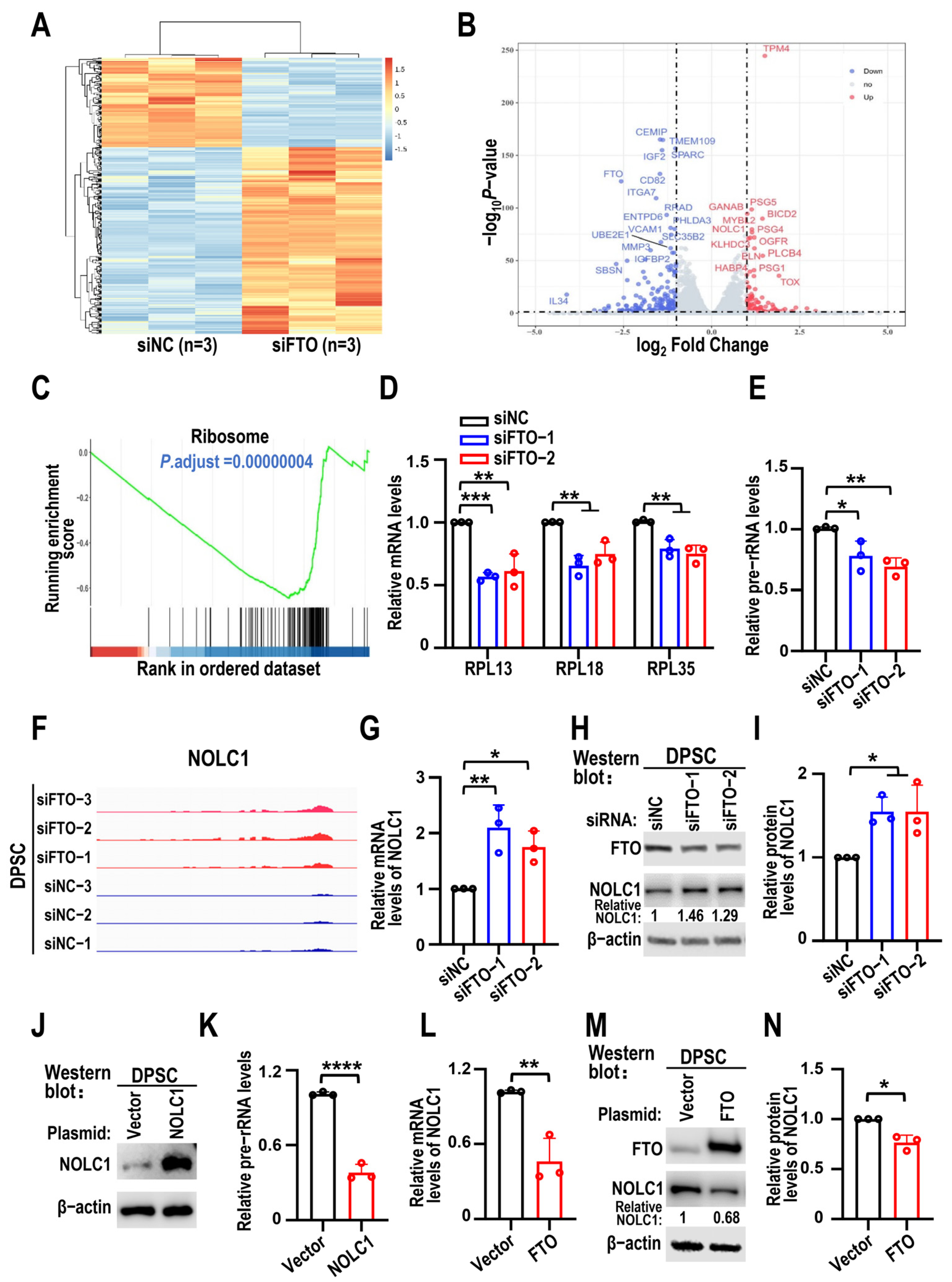 Biomolecules 15 01627 g004