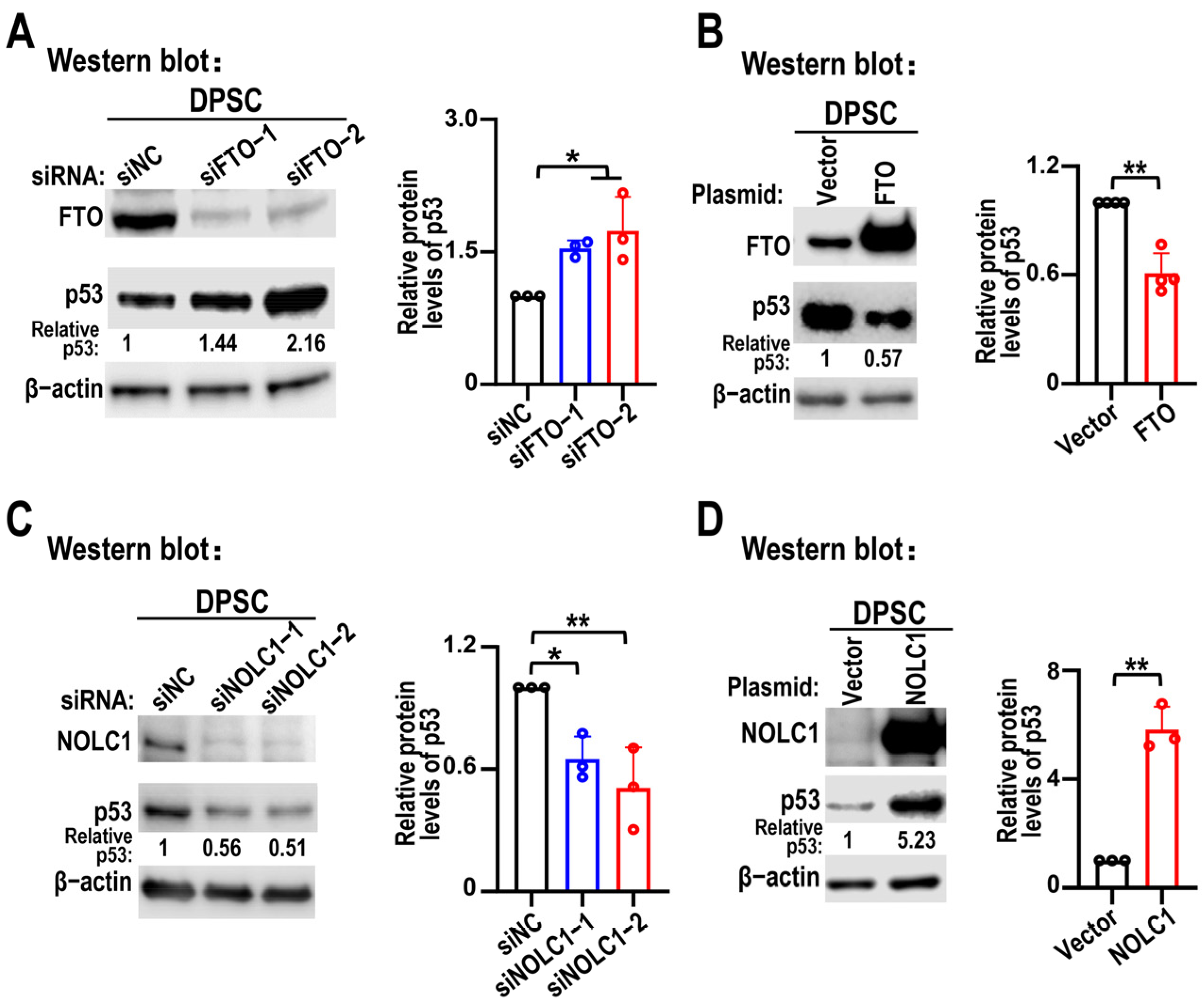 Biomolecules 15 01627 g006