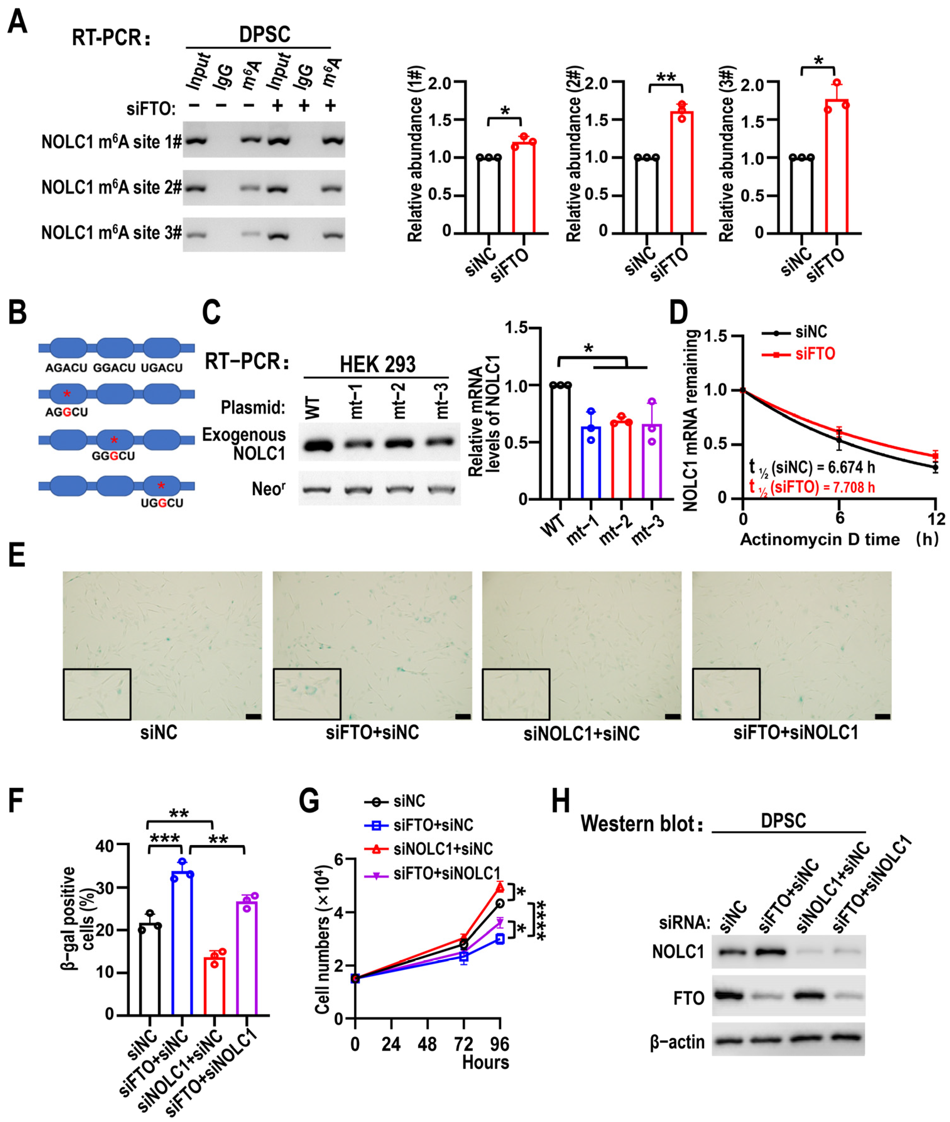 Biomolecules 15 01627 g007