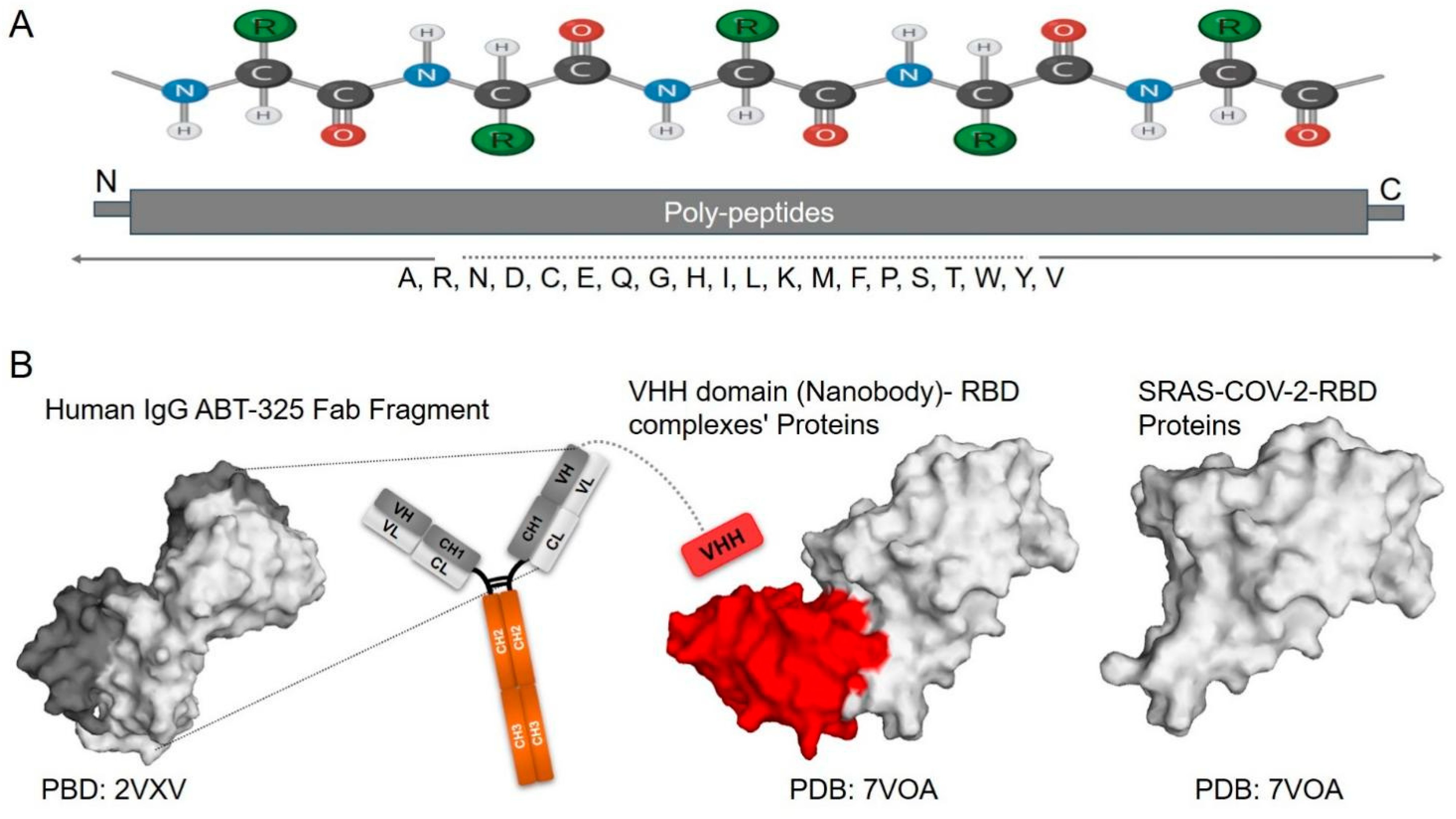Biomolecules 15 01628 g001