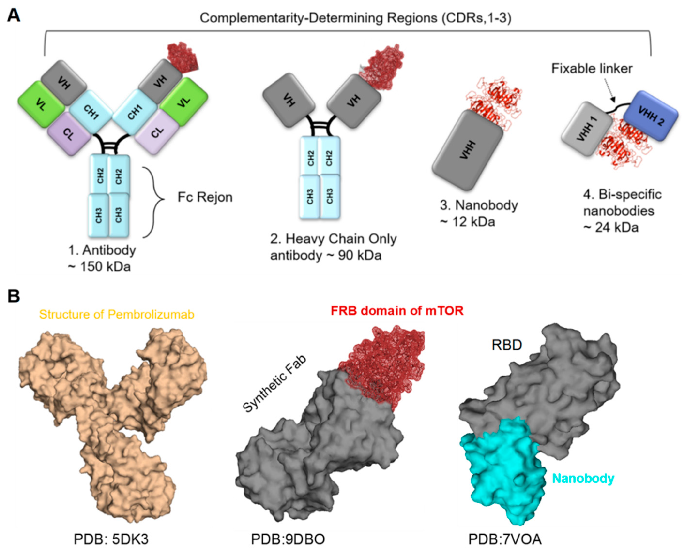 Biomolecules 15 01628 g002