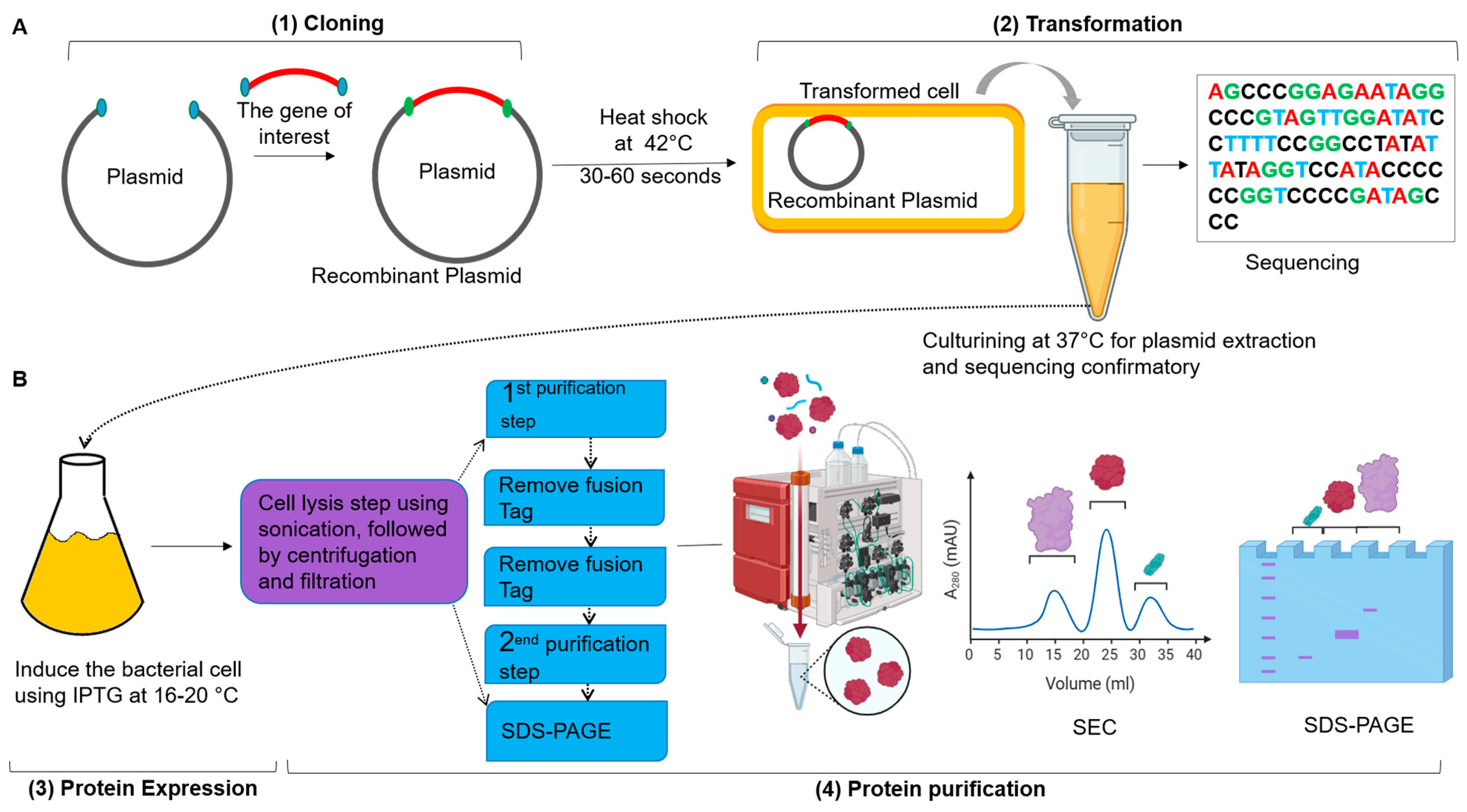 Biomolecules 15 01628 g003