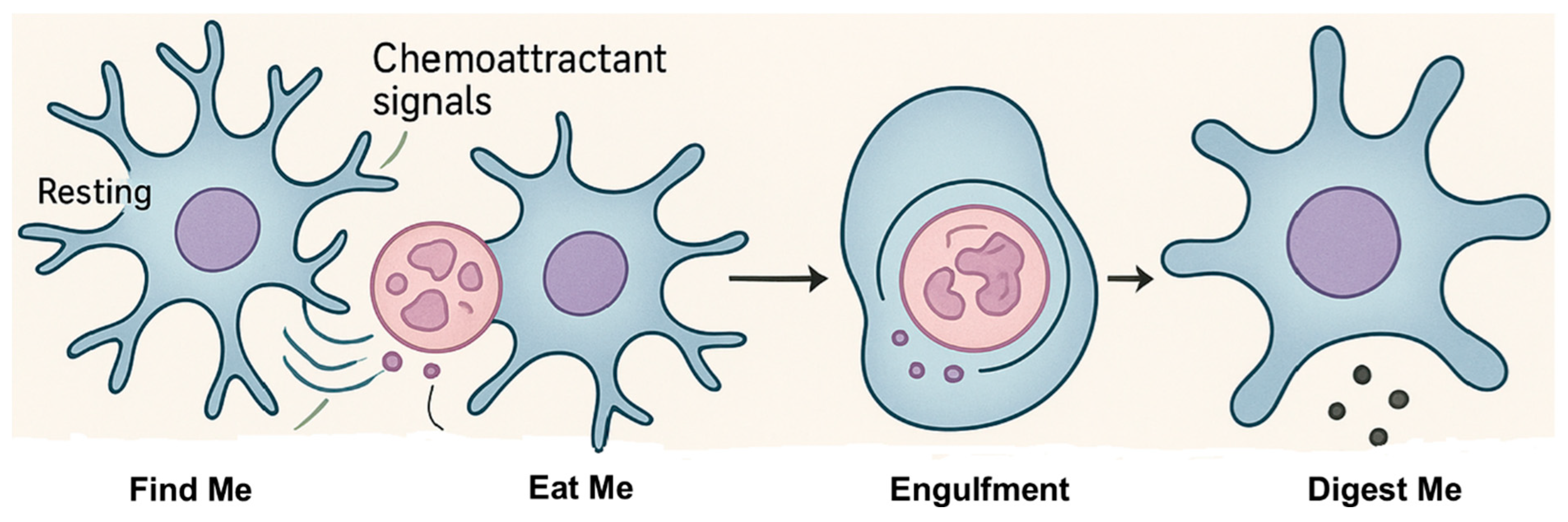 Biomolecules 15 01629 g001