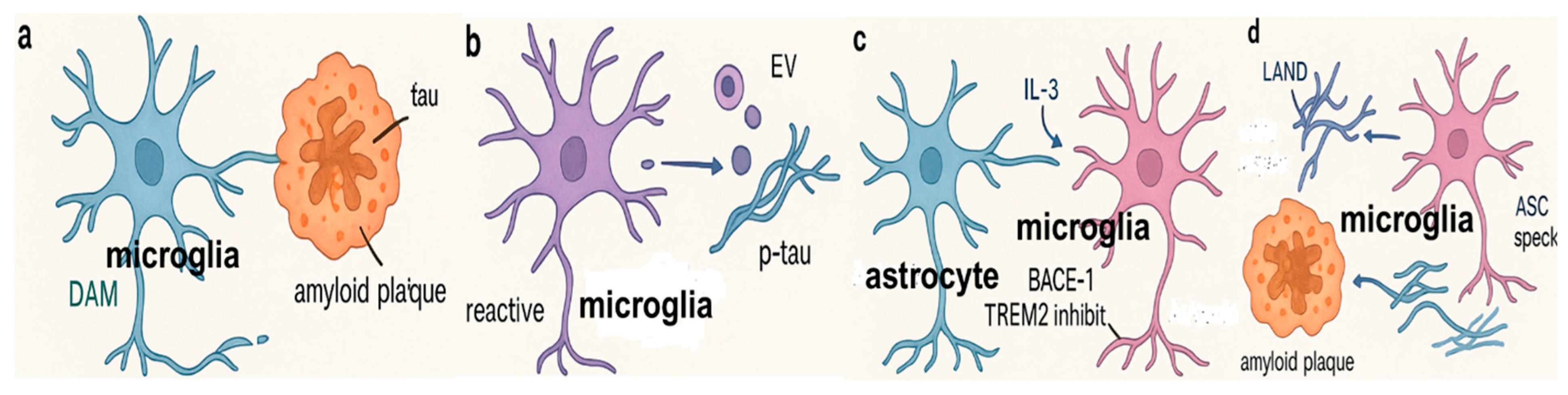 Biomolecules 15 01629 g002