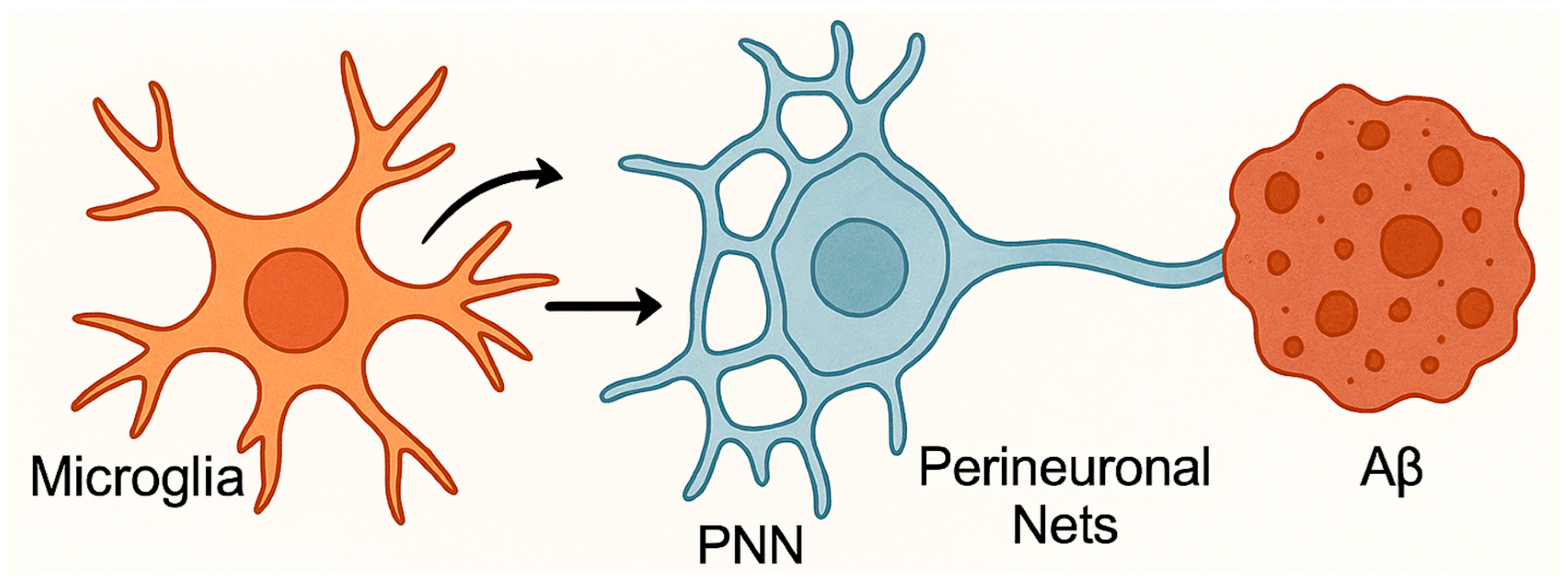 Biomolecules 15 01629 g003