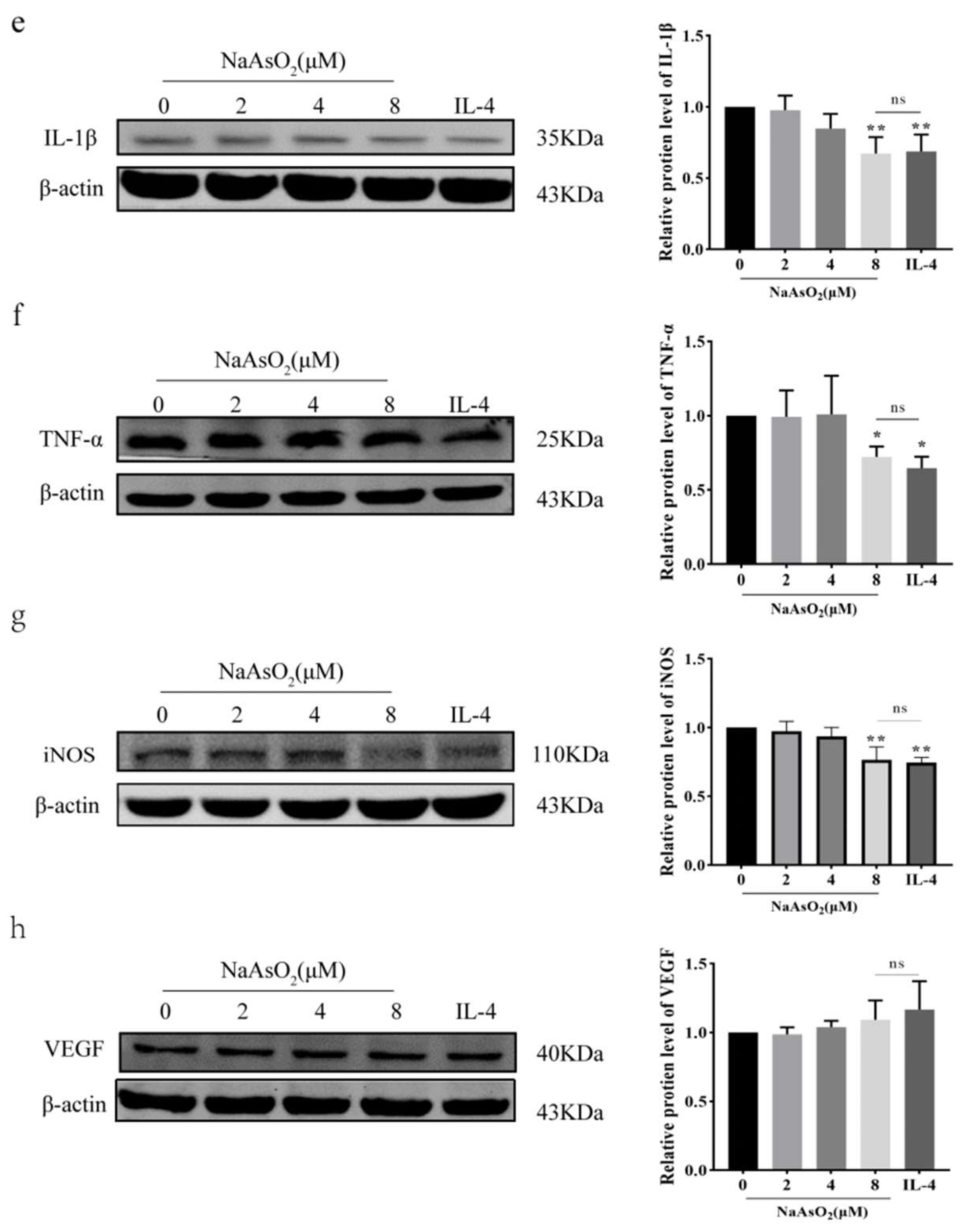 Biomolecules 15 01630 g003b