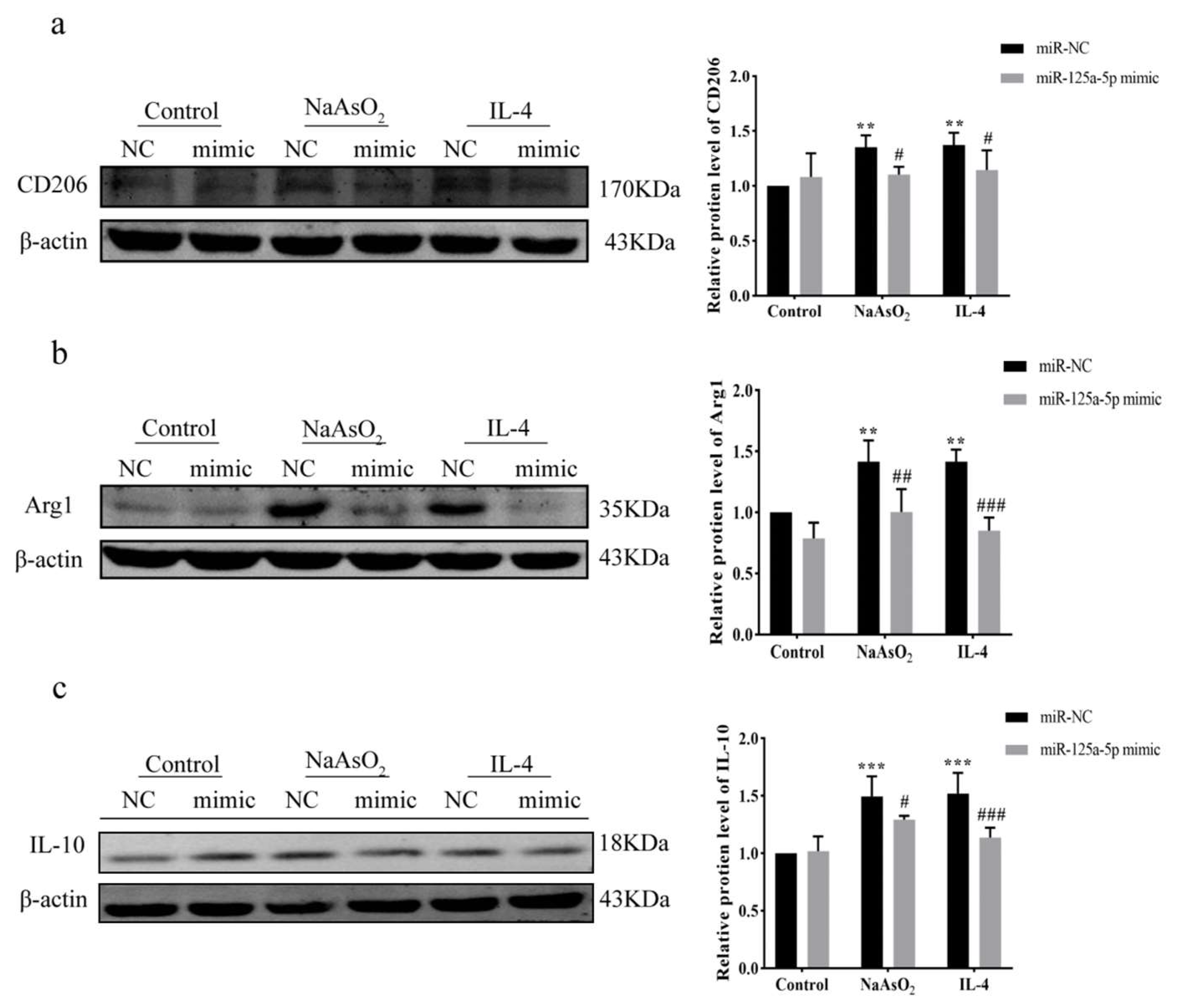Biomolecules 15 01630 g007