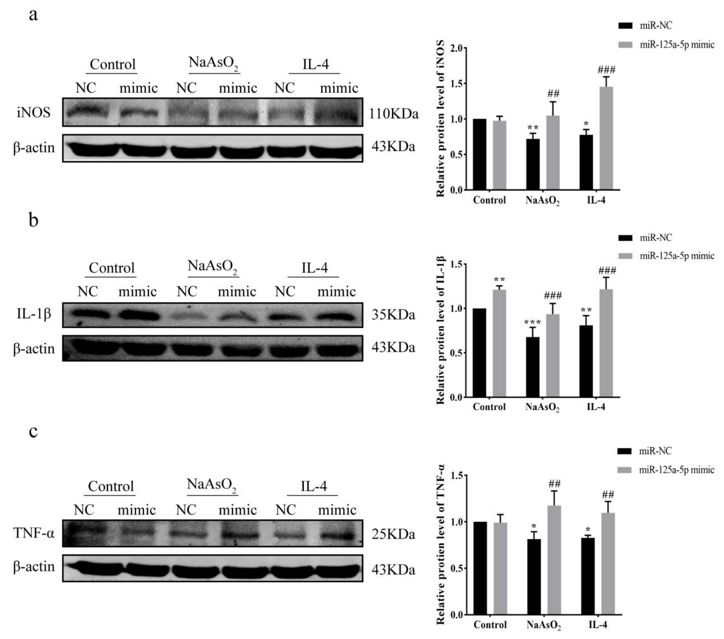 Biomolecules 15 01630 g008