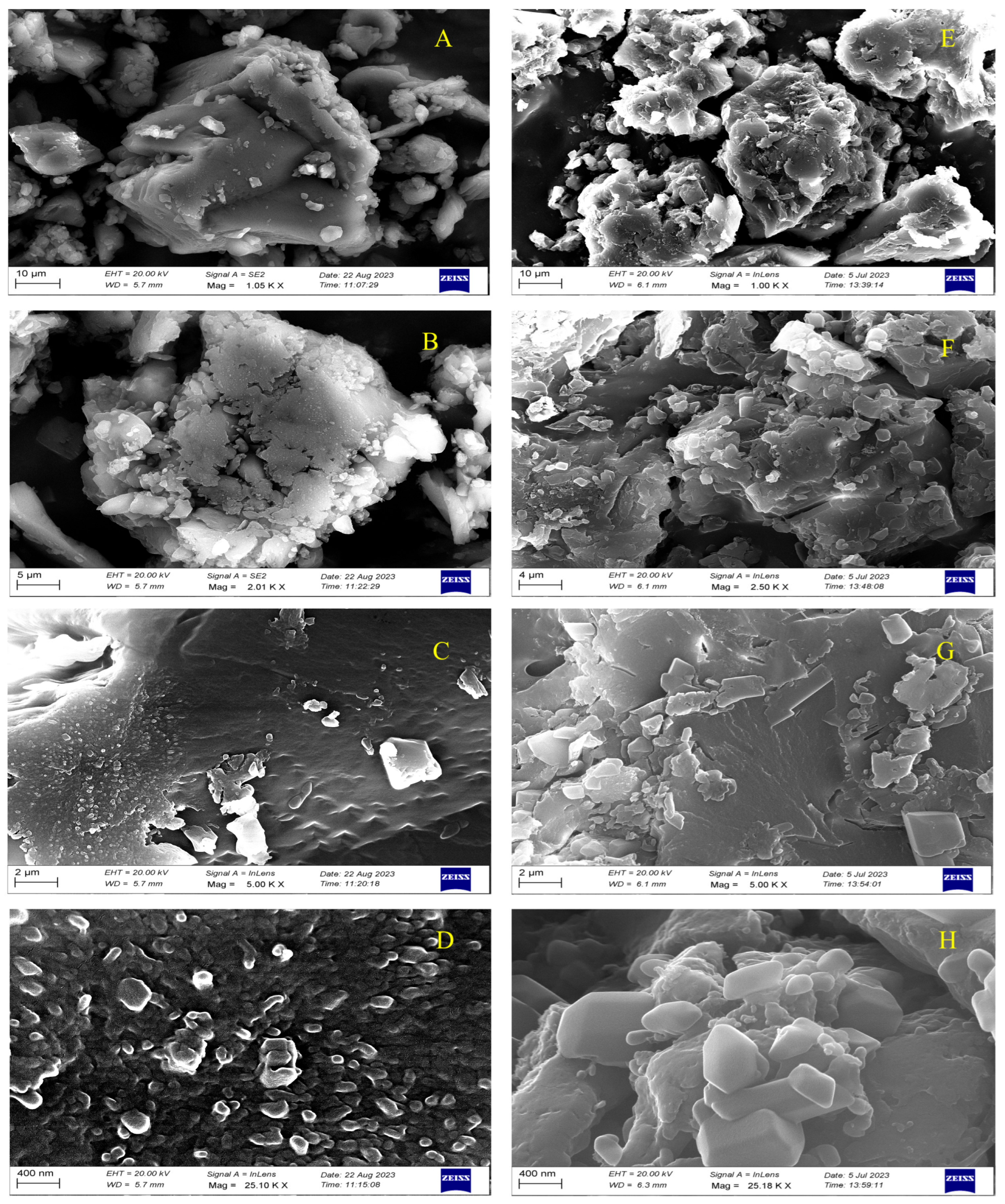 Biomolecules 15 01631 g008