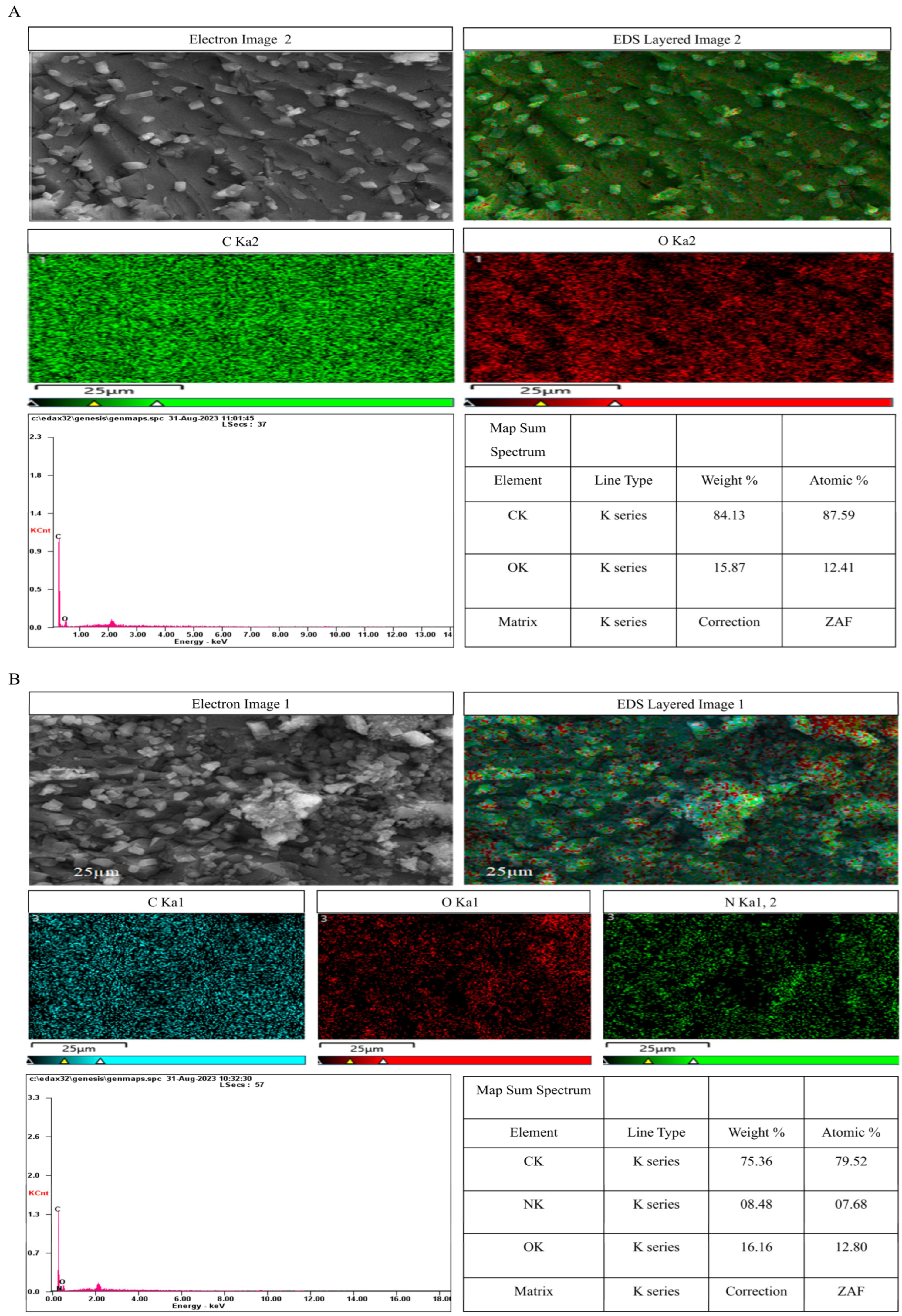 Biomolecules 15 01631 g009