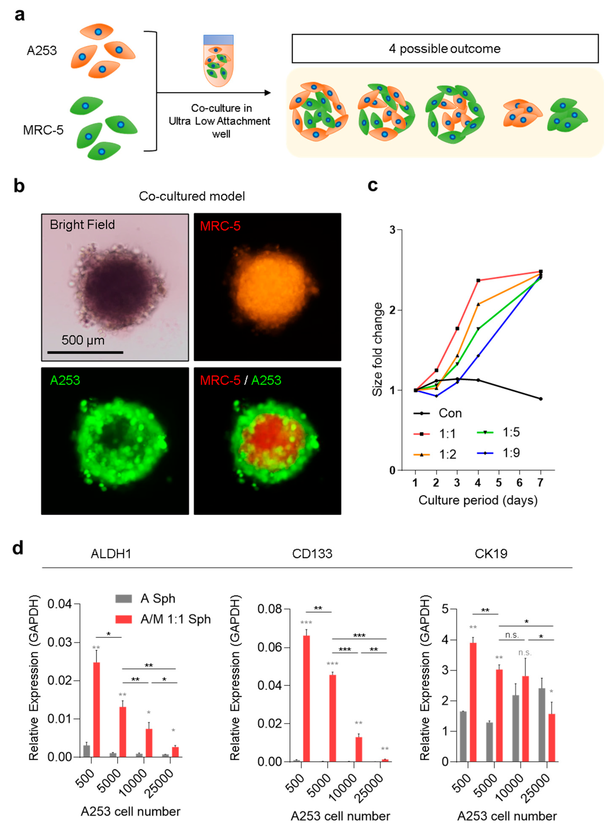 Biomolecules 15 01634 g001