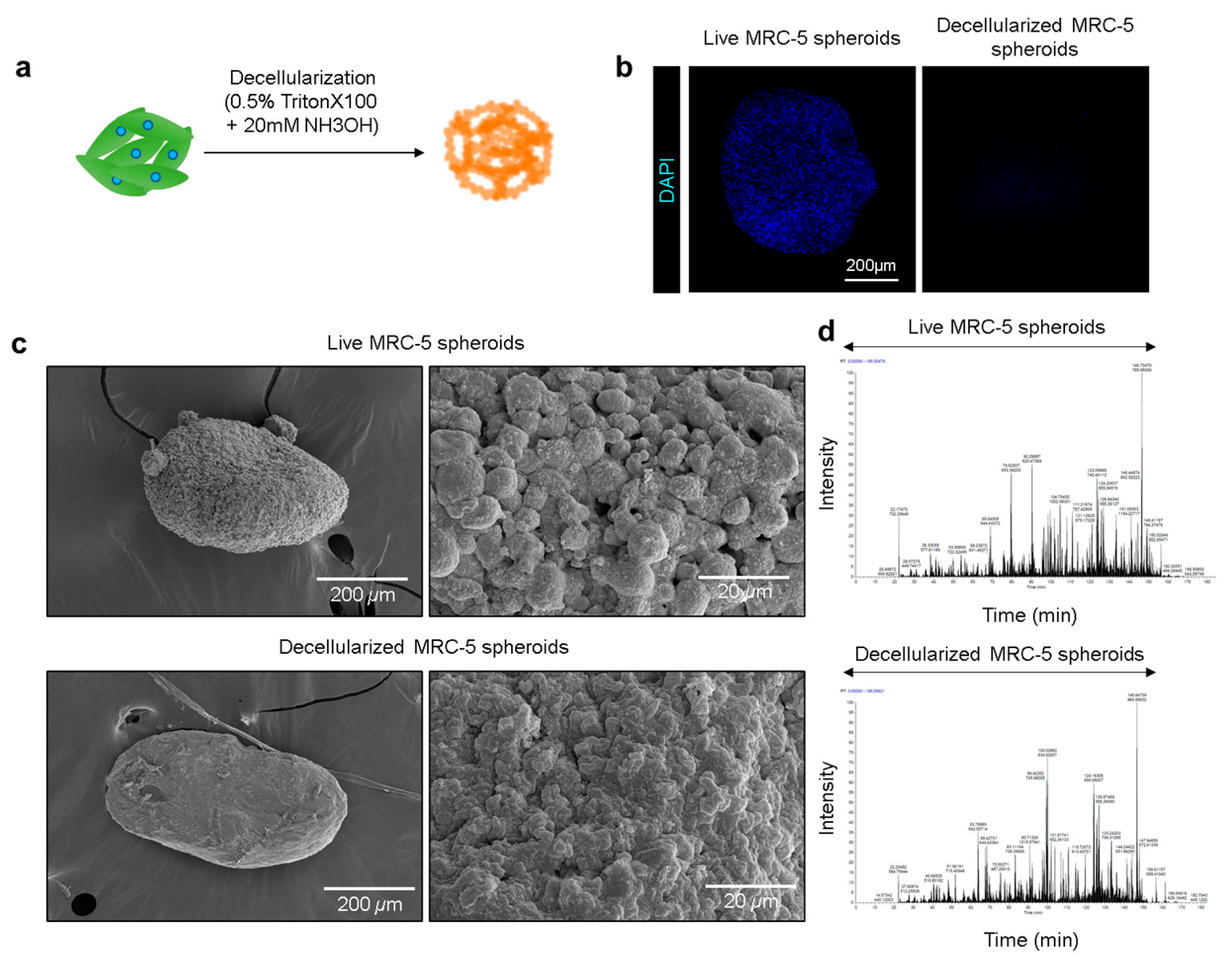 Biomolecules 15 01634 g003
