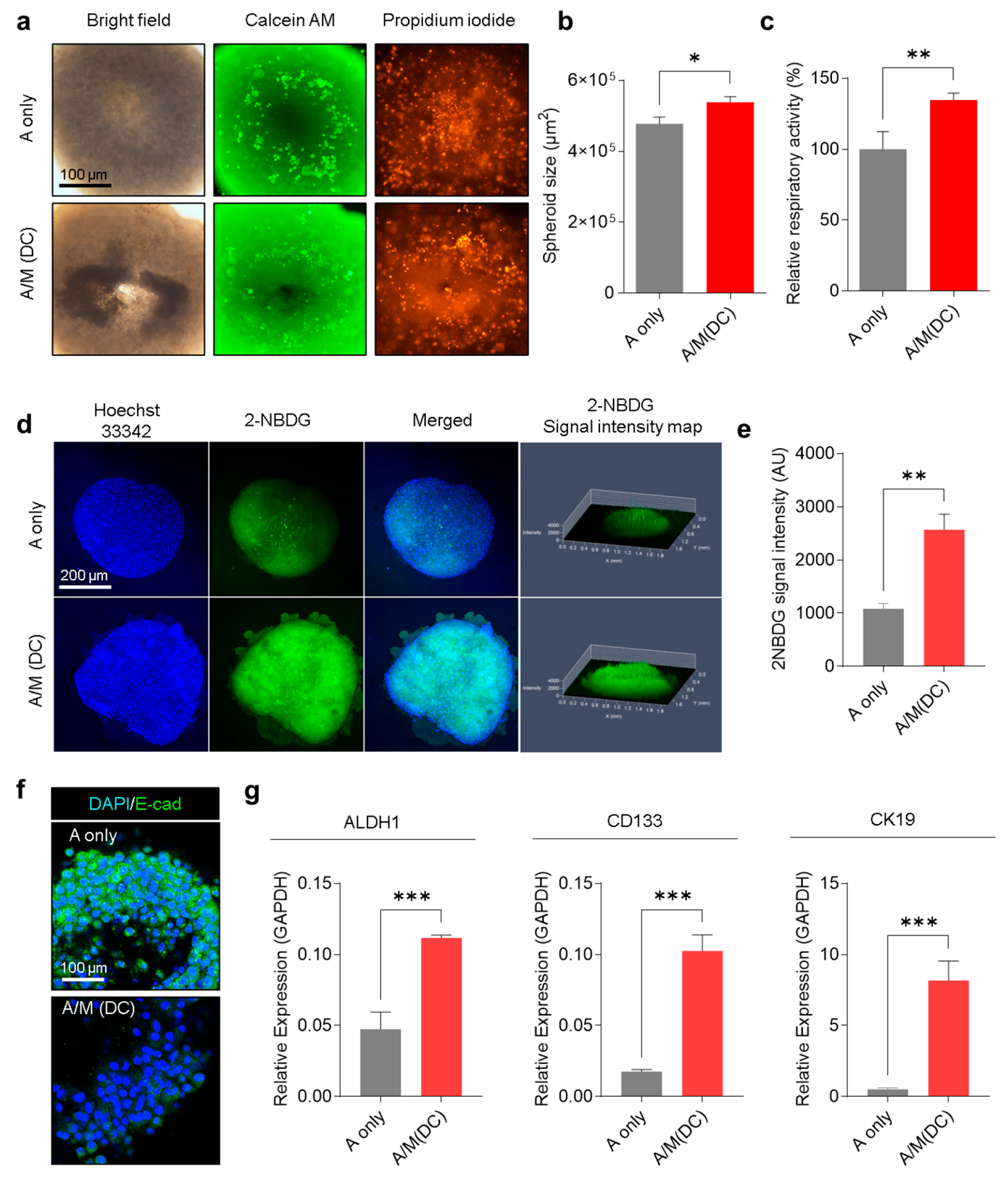 Biomolecules 15 01634 g004