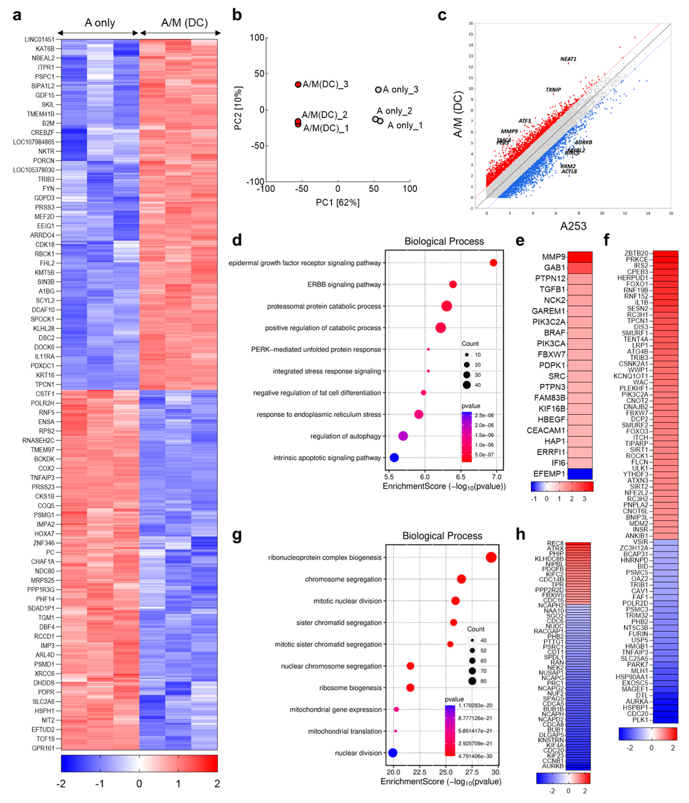 Biomolecules 15 01634 g006