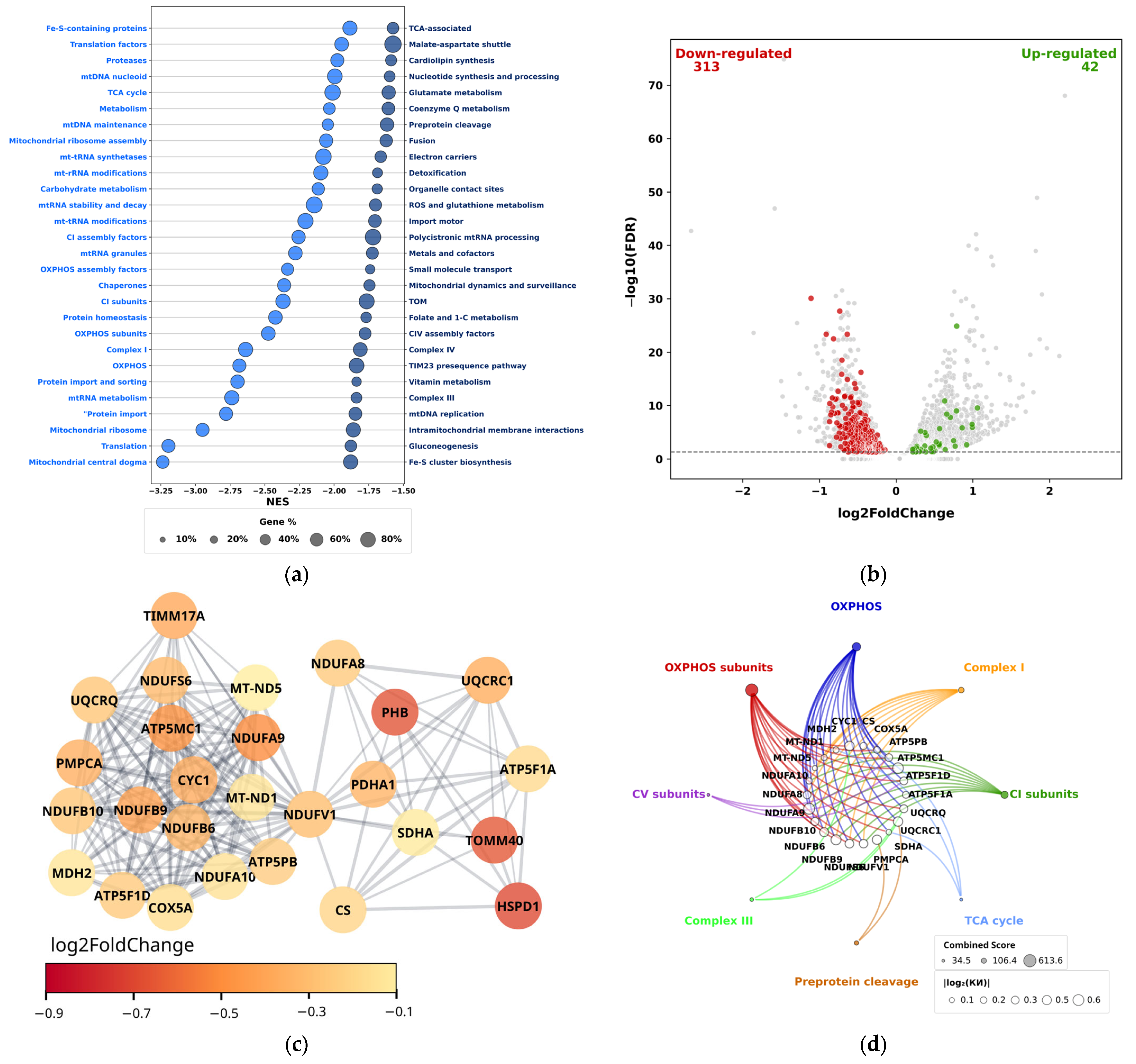 Biomolecules 15 01635 g001