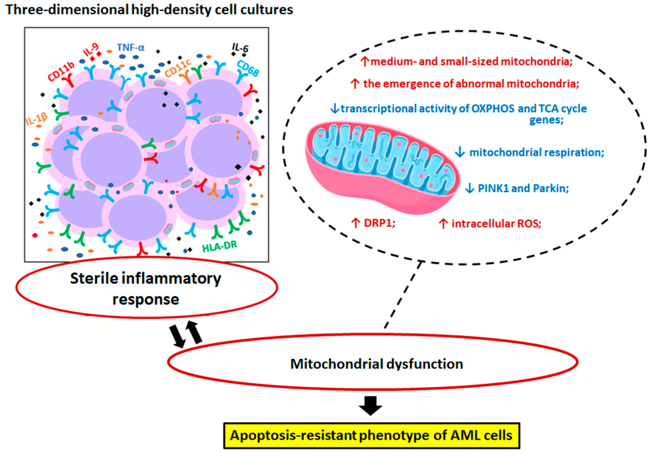 Biomolecules 15 01635 g008