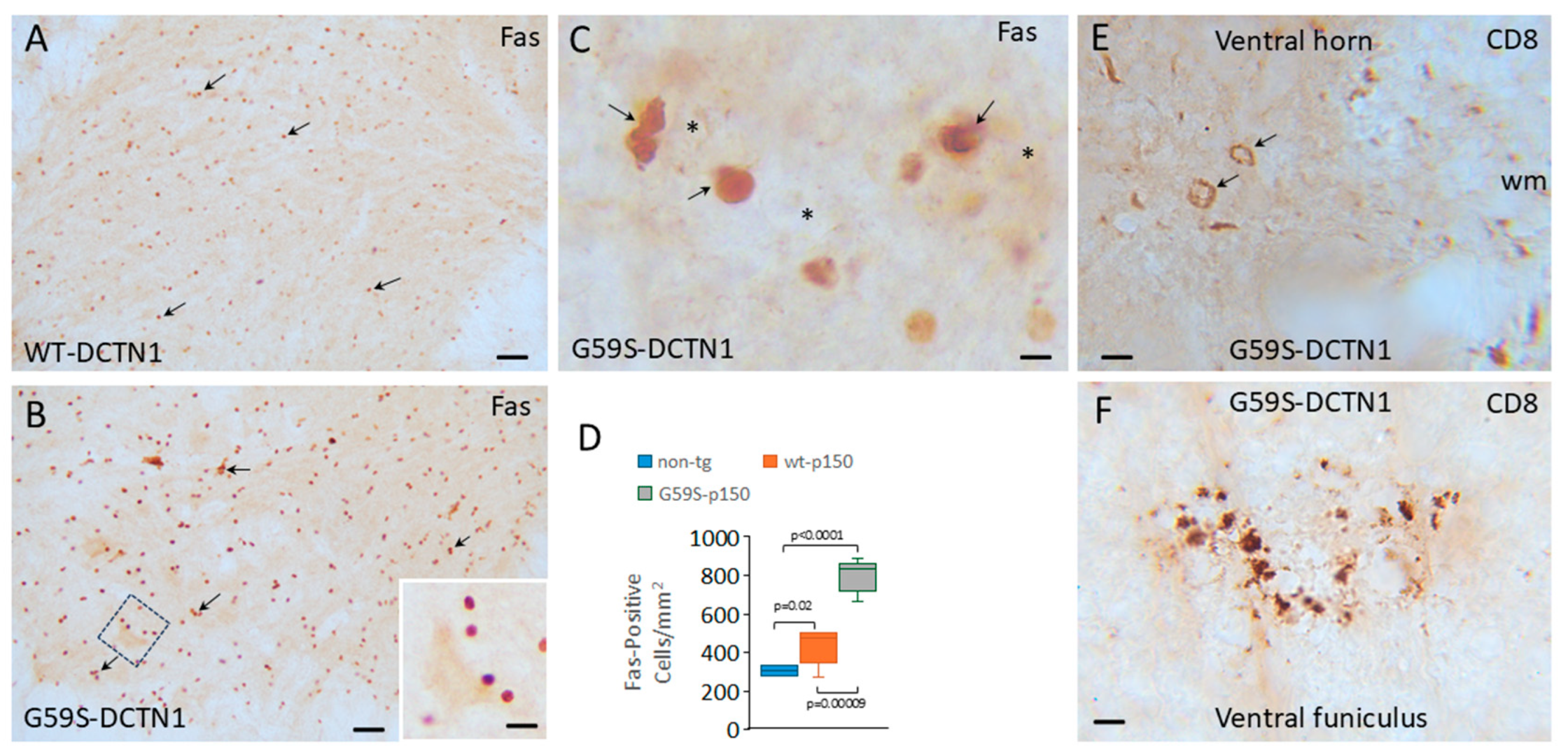 Biomolecules 15 01637 g002