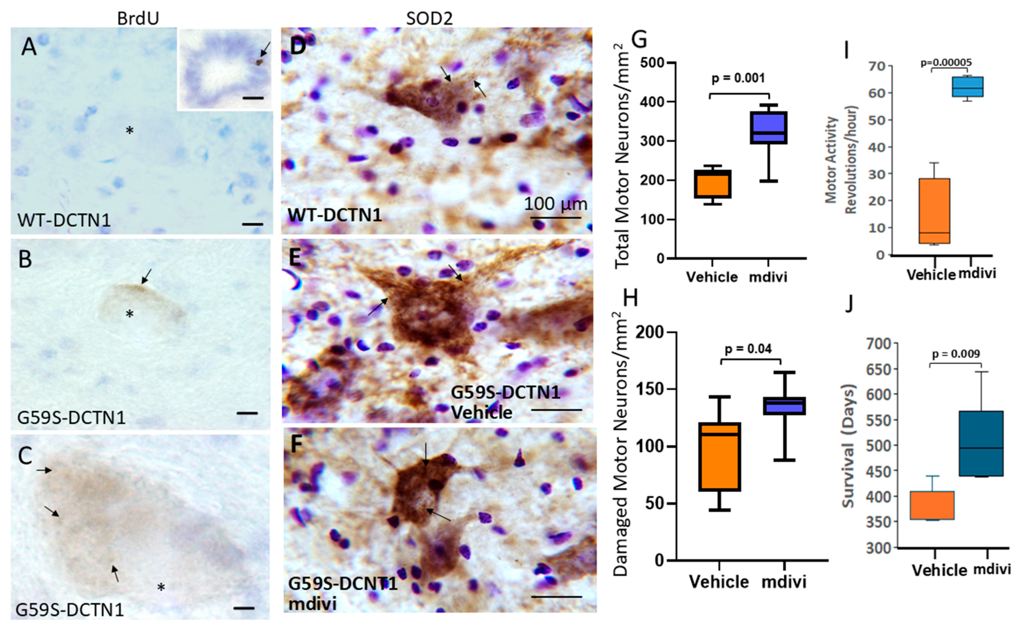 Biomolecules 15 01637 g005