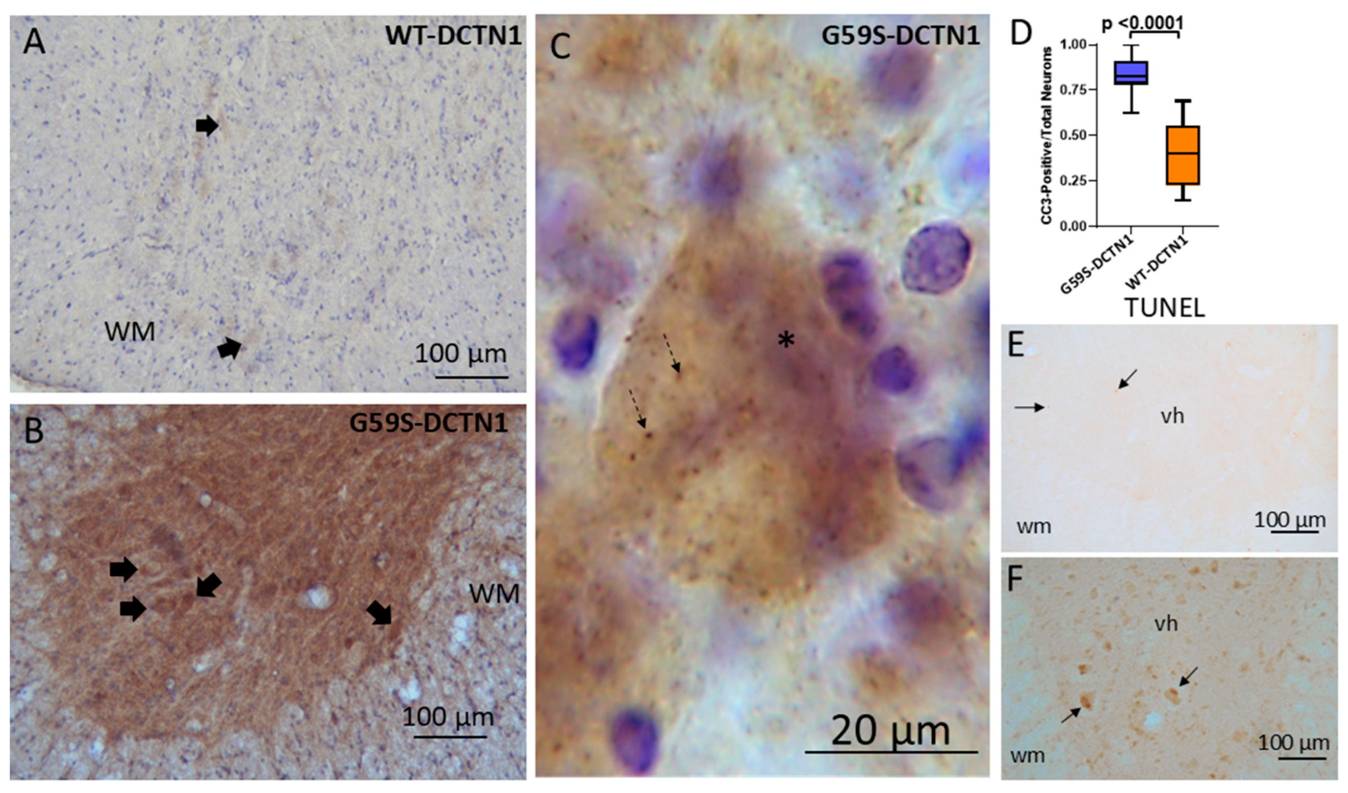 Biomolecules 15 01637 g006
