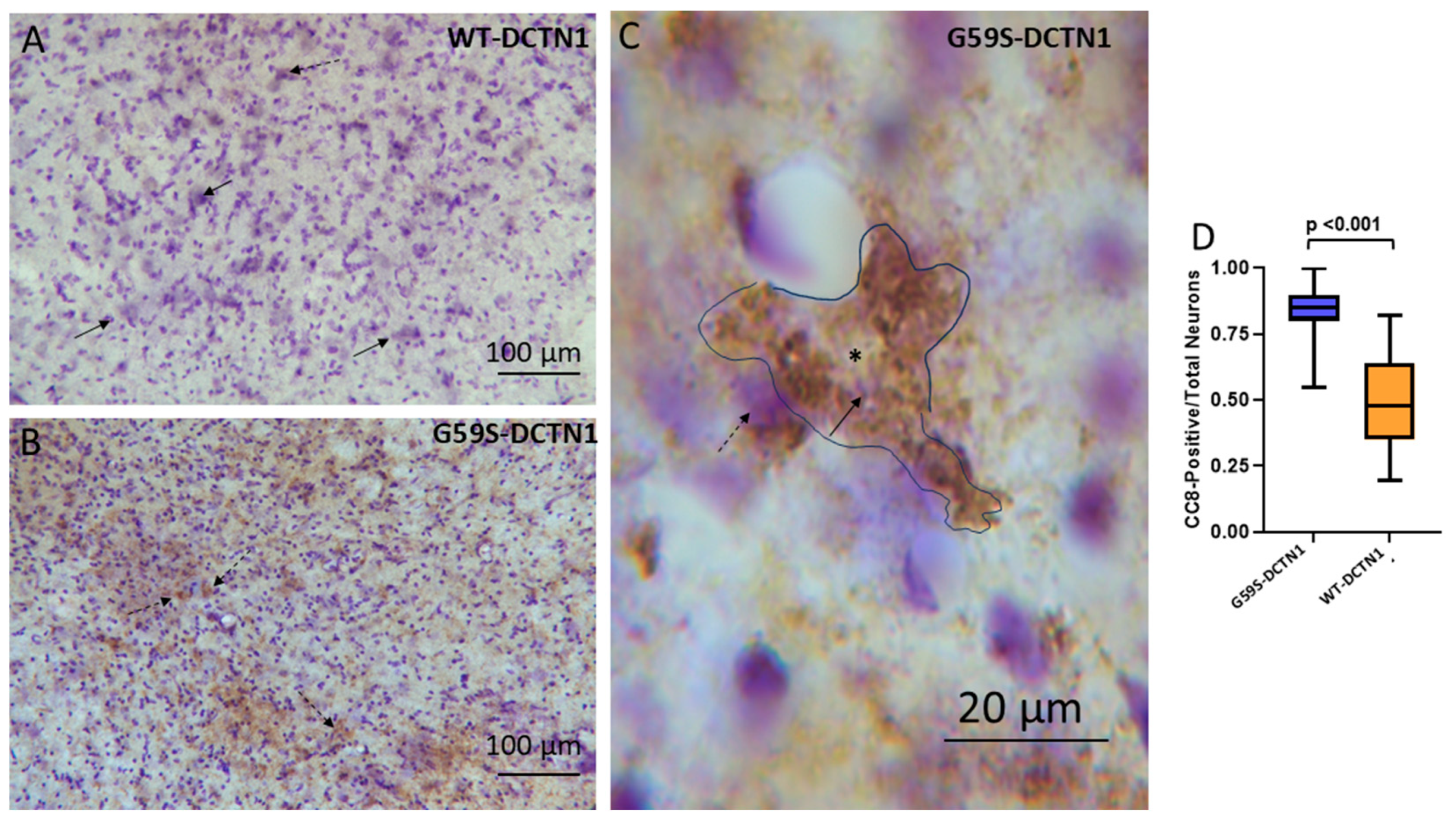 Biomolecules 15 01637 g007