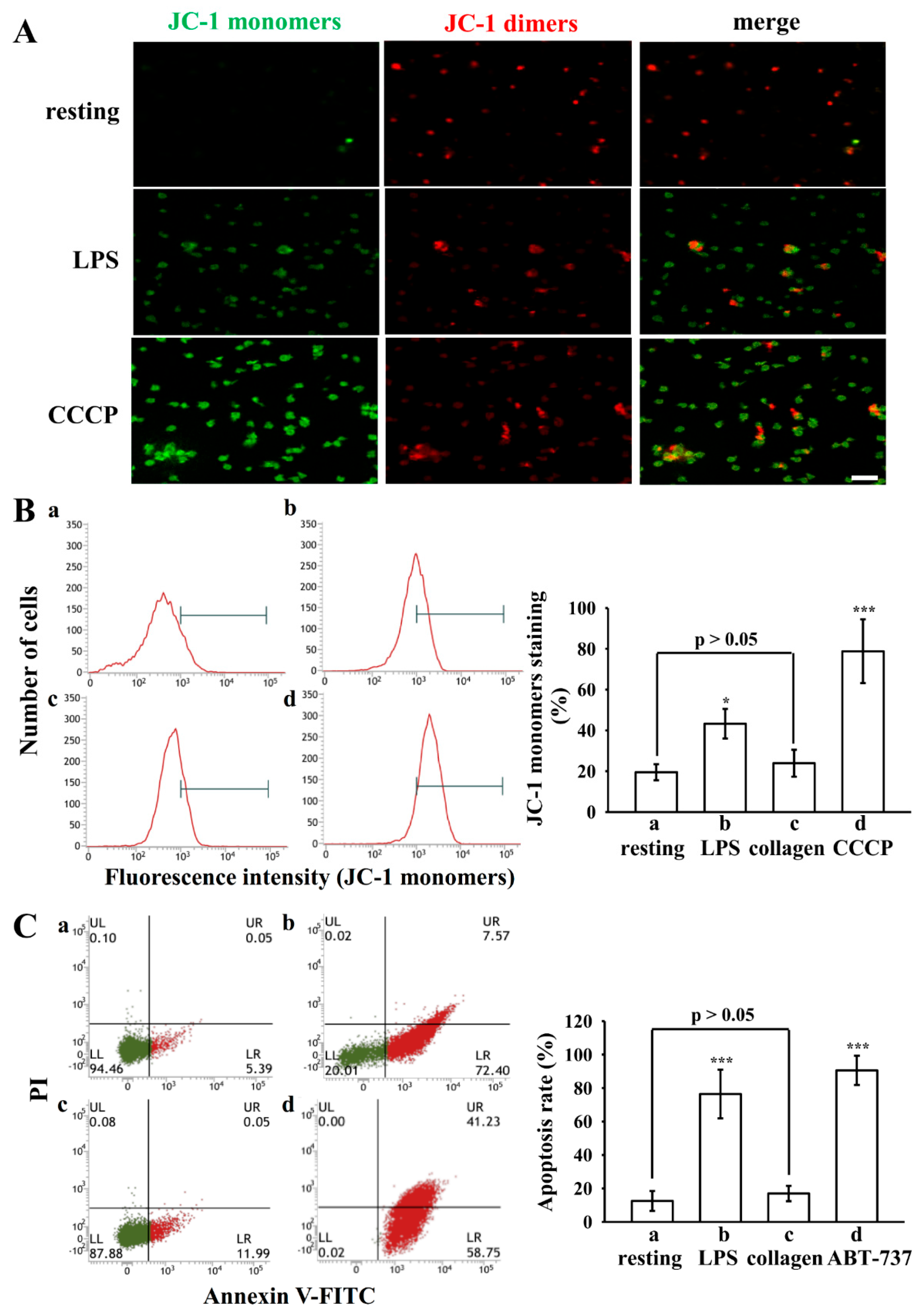 Biomolecules 15 01638 g003
