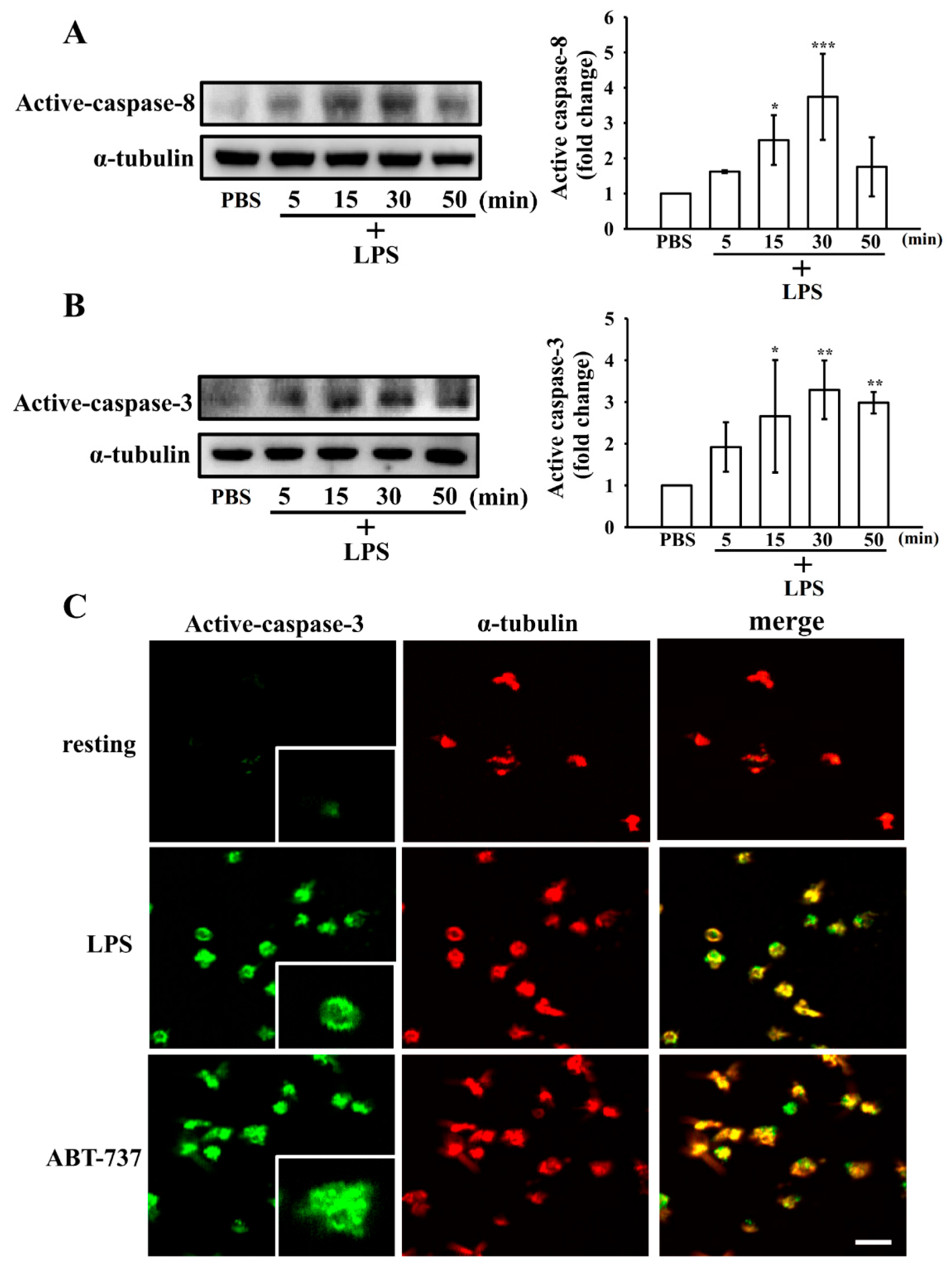 Biomolecules 15 01638 g005