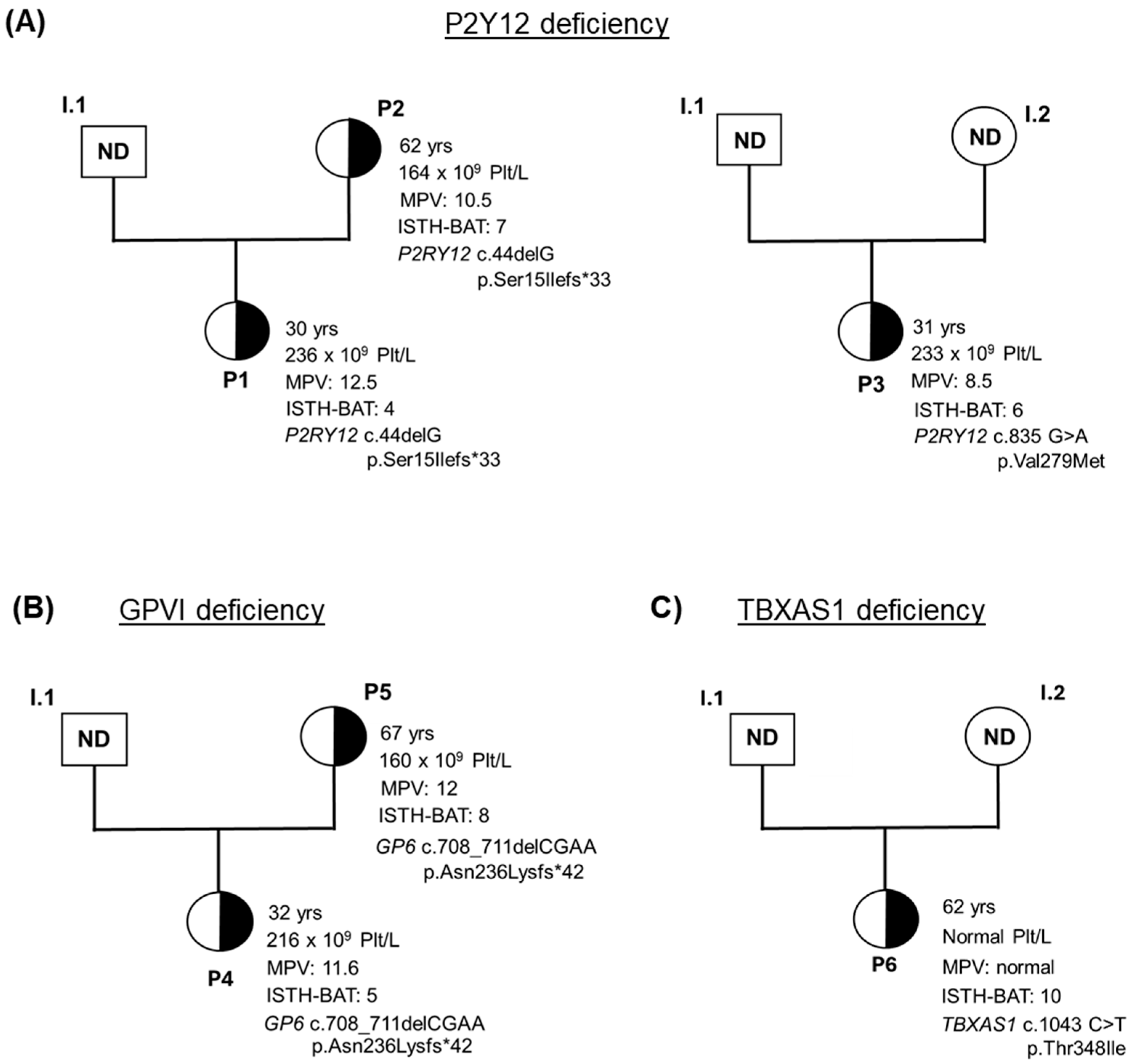 Biomolecules 15 01639 g003