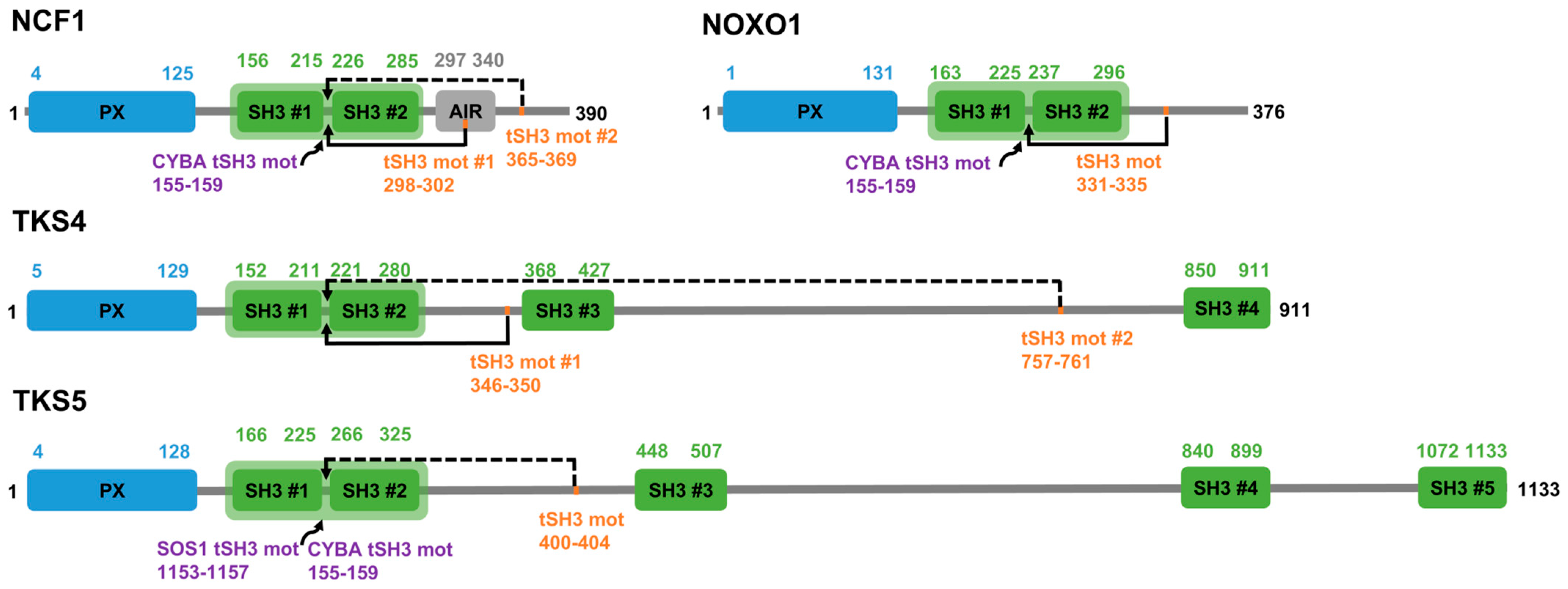 Biomolecules 15 01641 g001