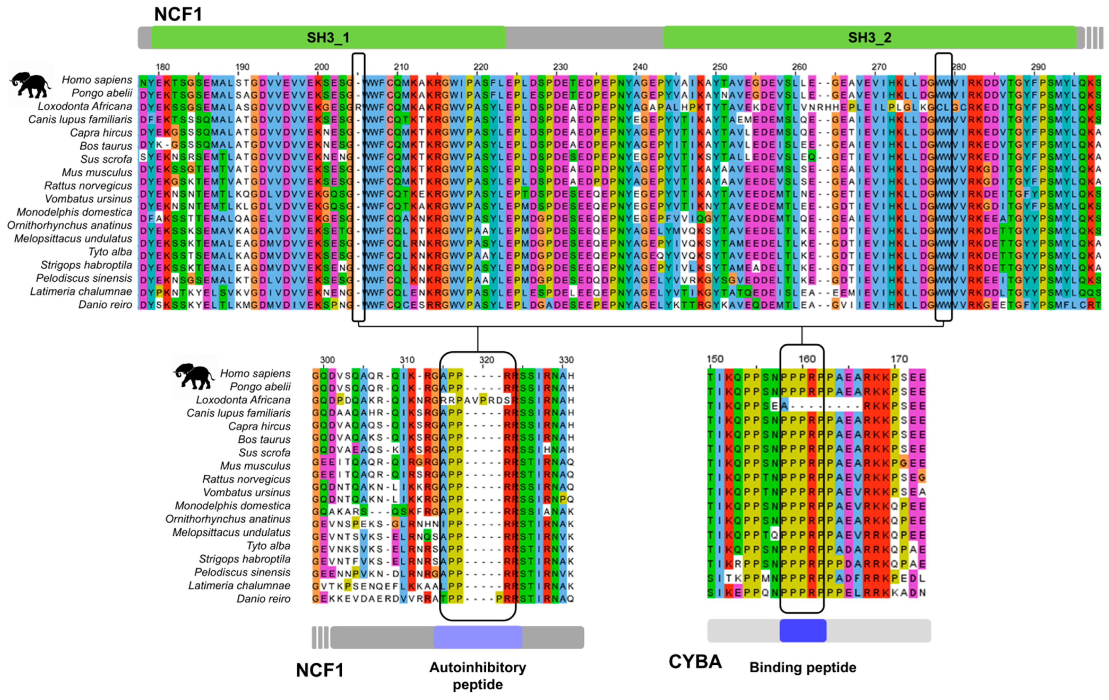 Biomolecules 15 01641 g005