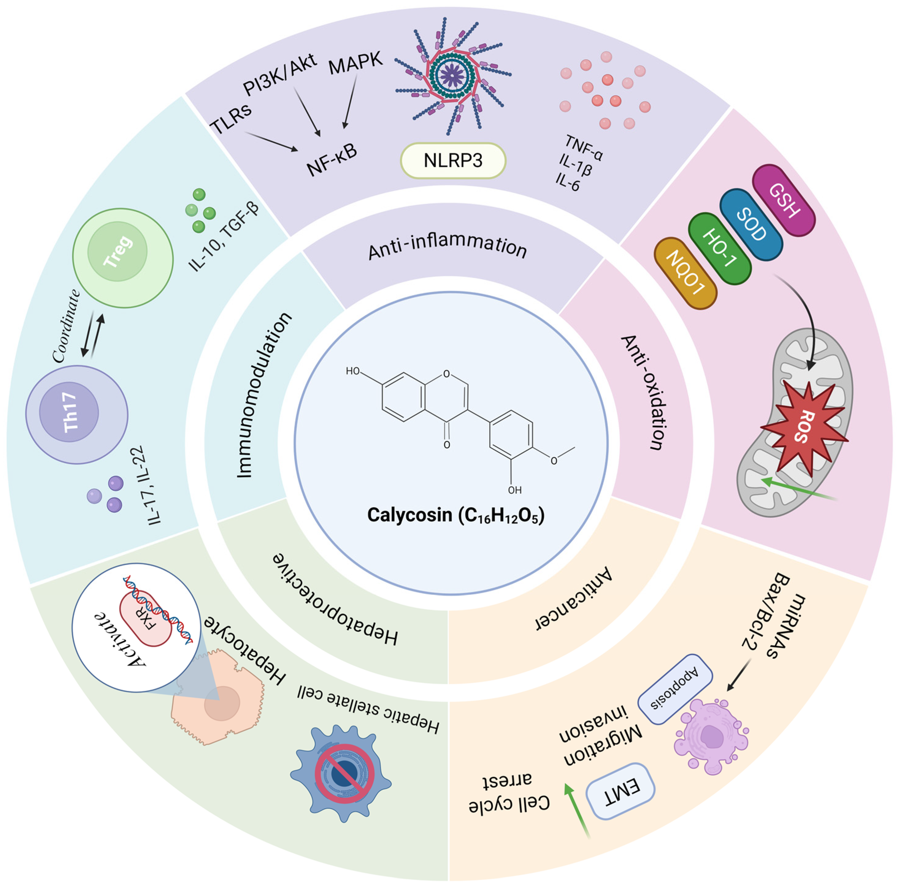 Biomolecules 15 01643 g001