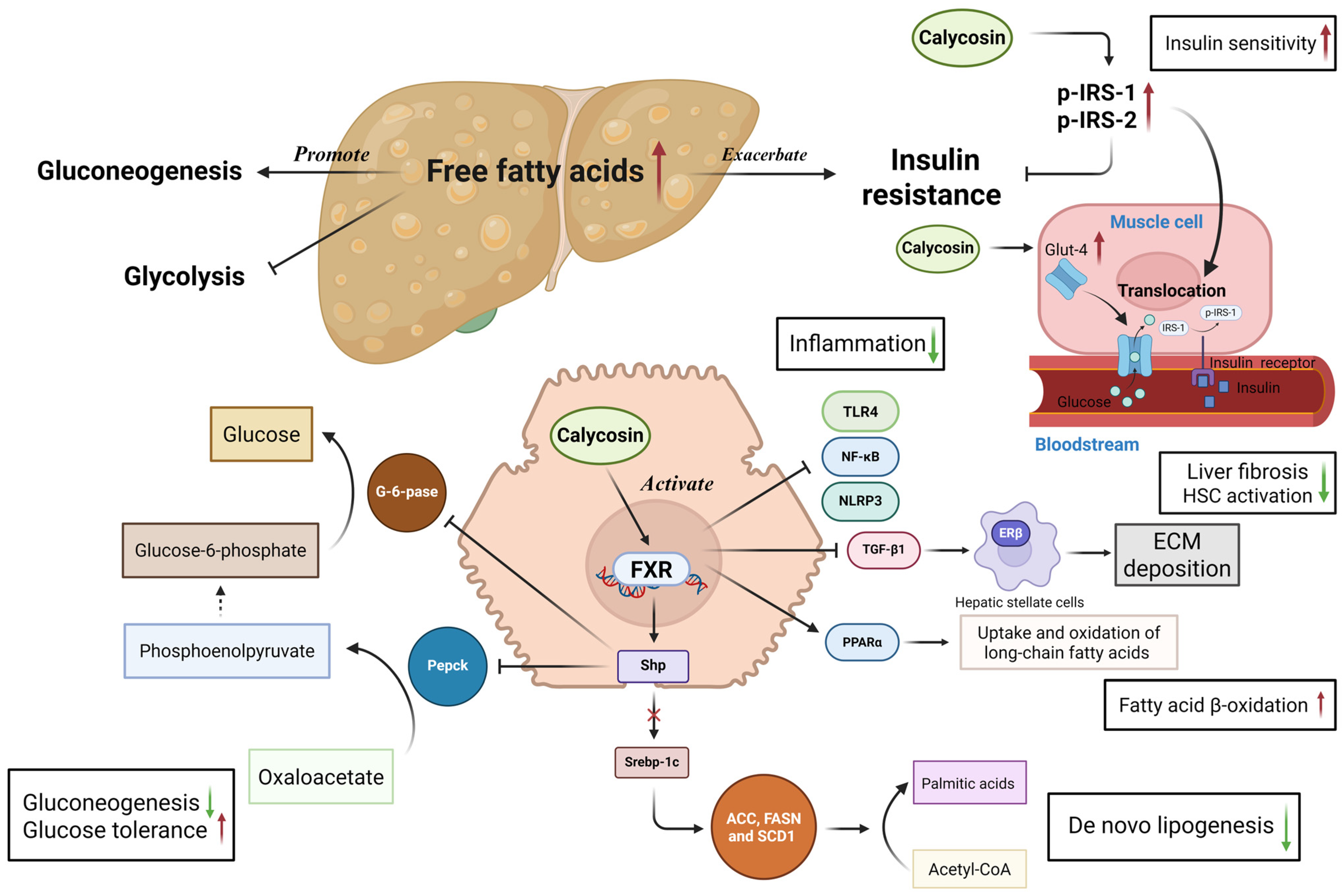 Biomolecules 15 01643 g005