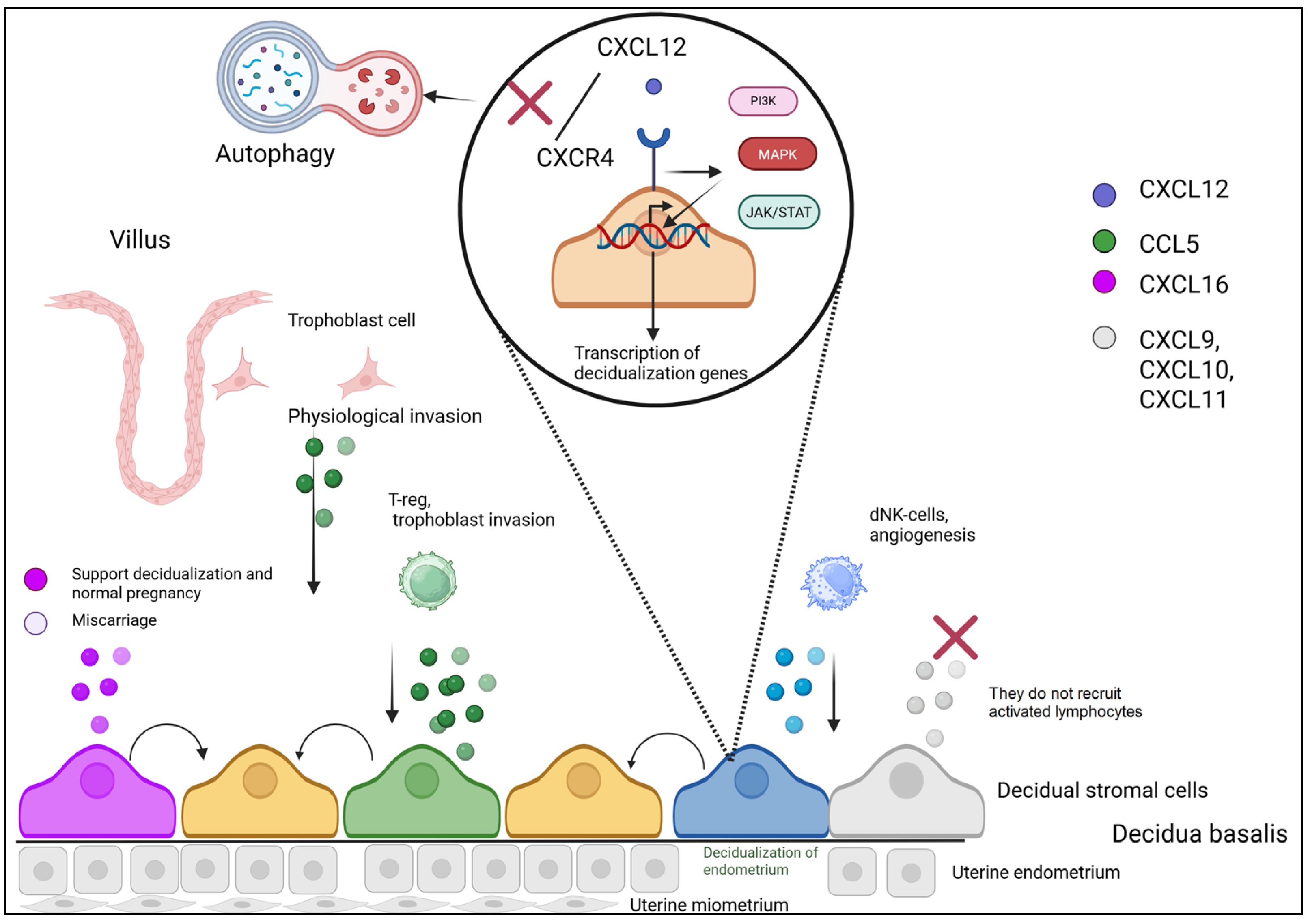 Biomolecules 15 01645 g001
