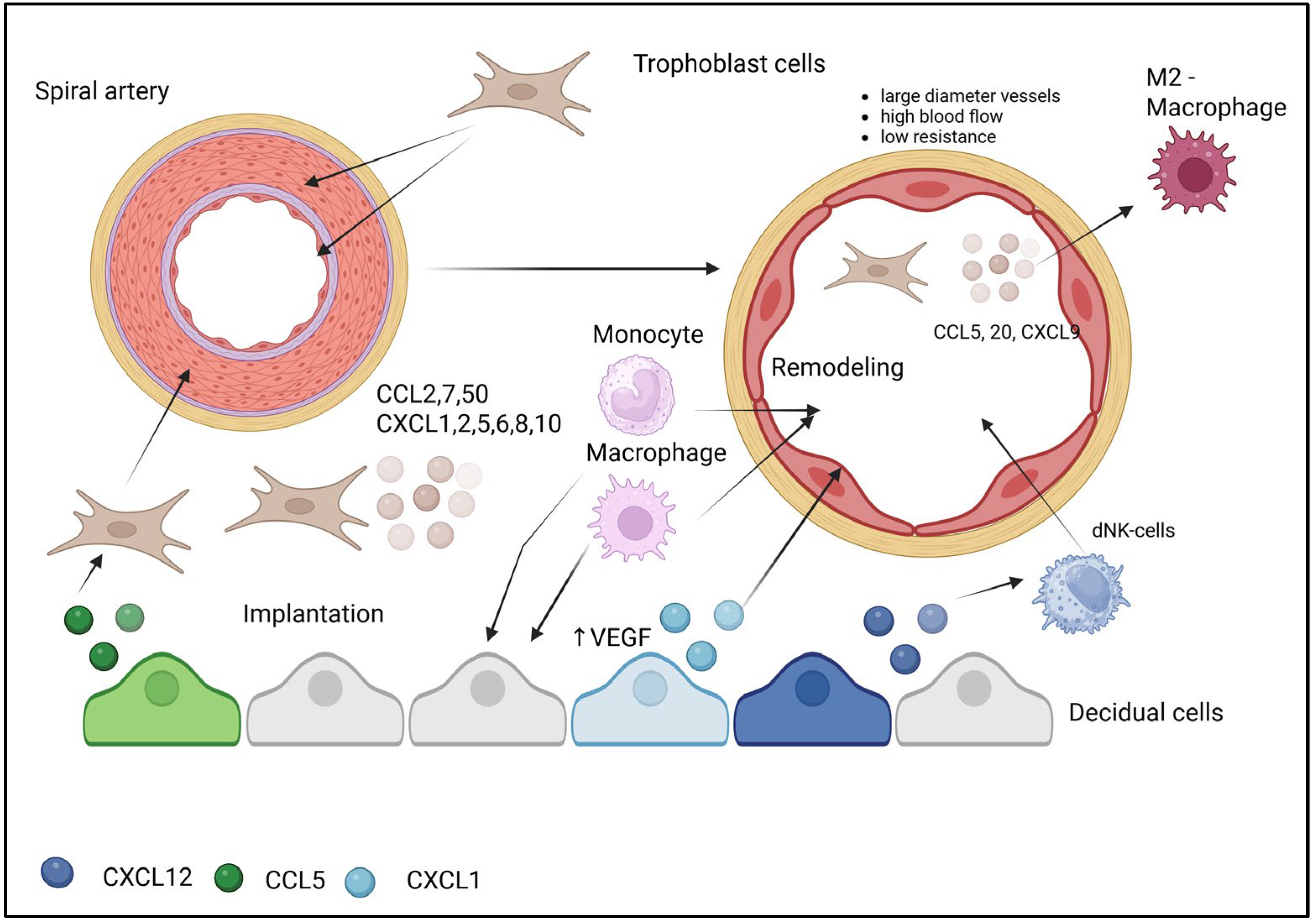 Biomolecules 15 01645 g002