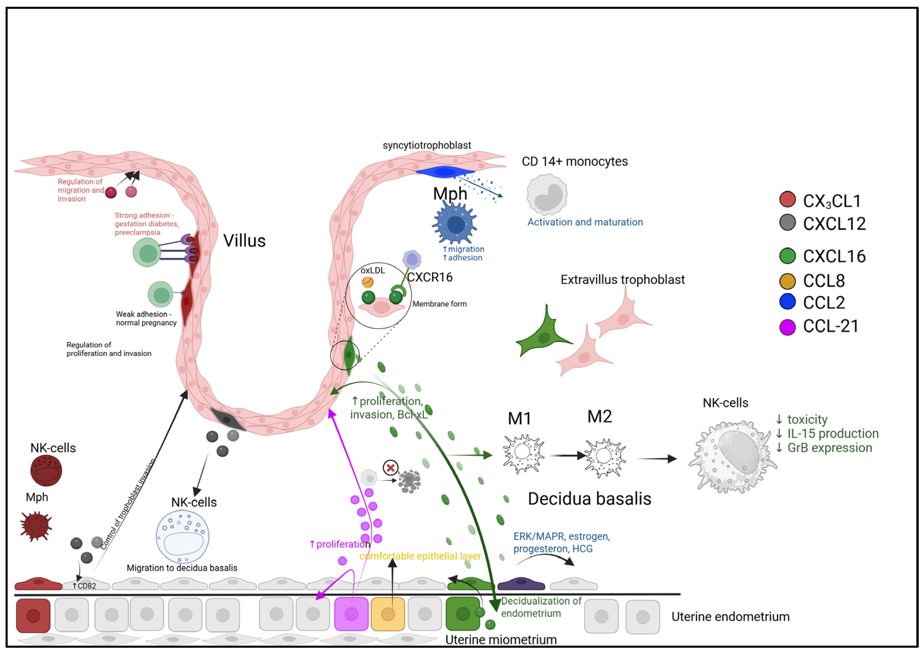 Biomolecules 15 01645 g003