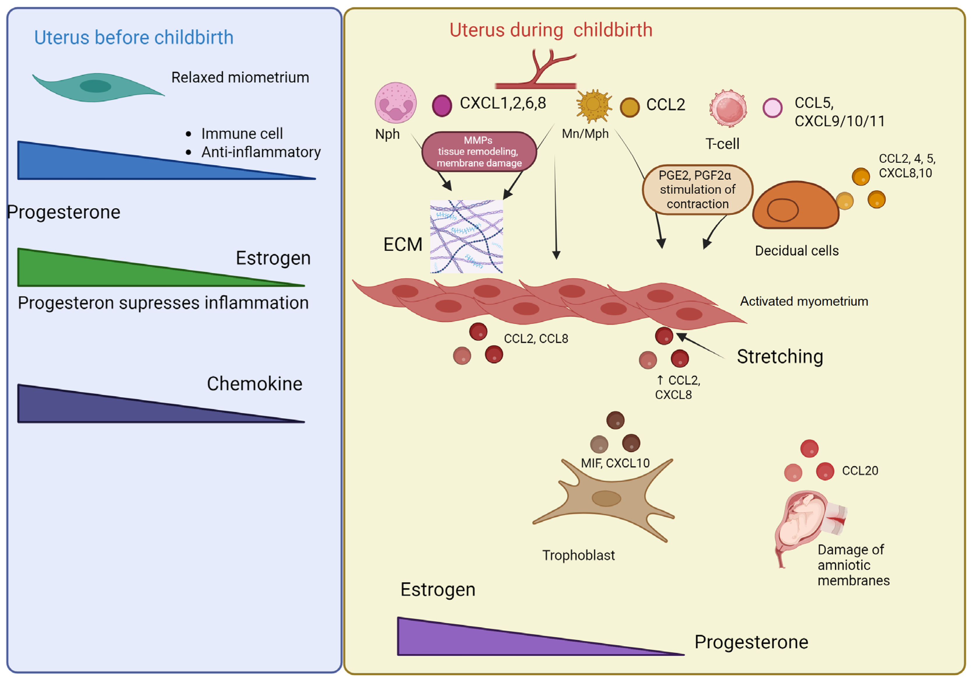 Biomolecules 15 01645 g004
