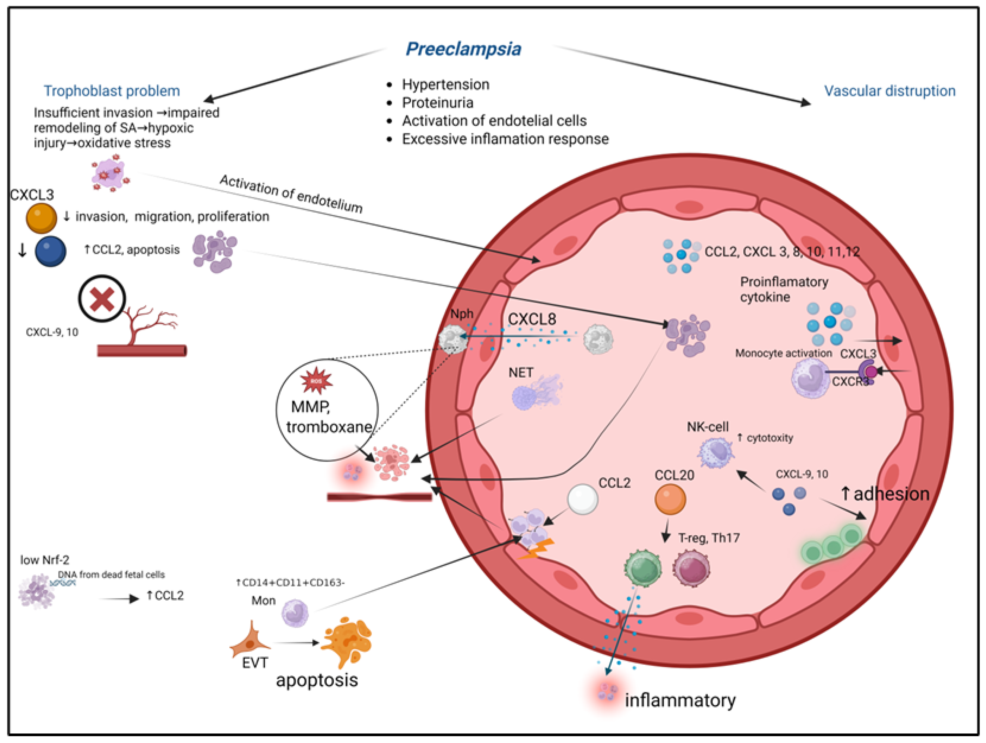 Biomolecules 15 01645 g005