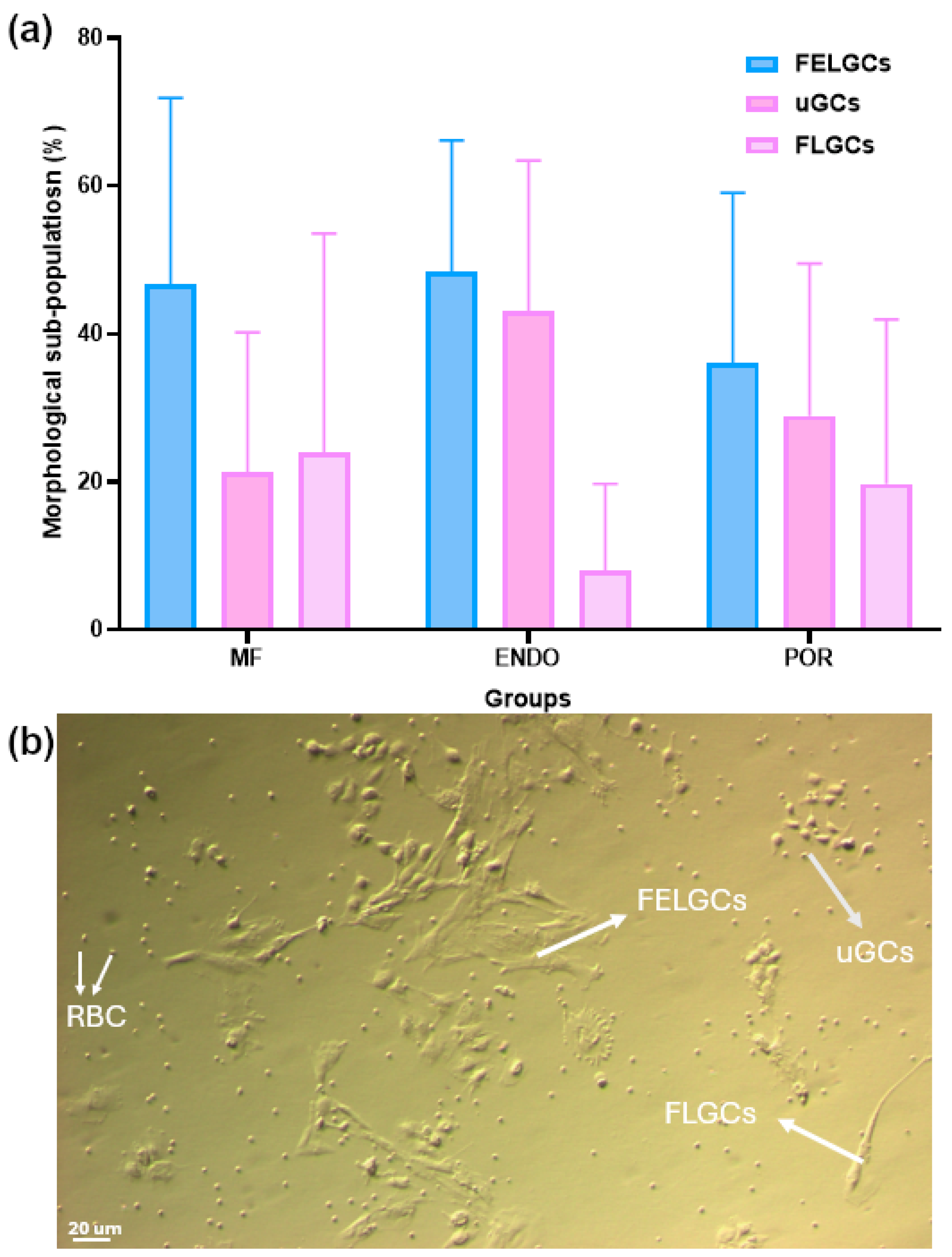 Biomolecules 15 01646 g003