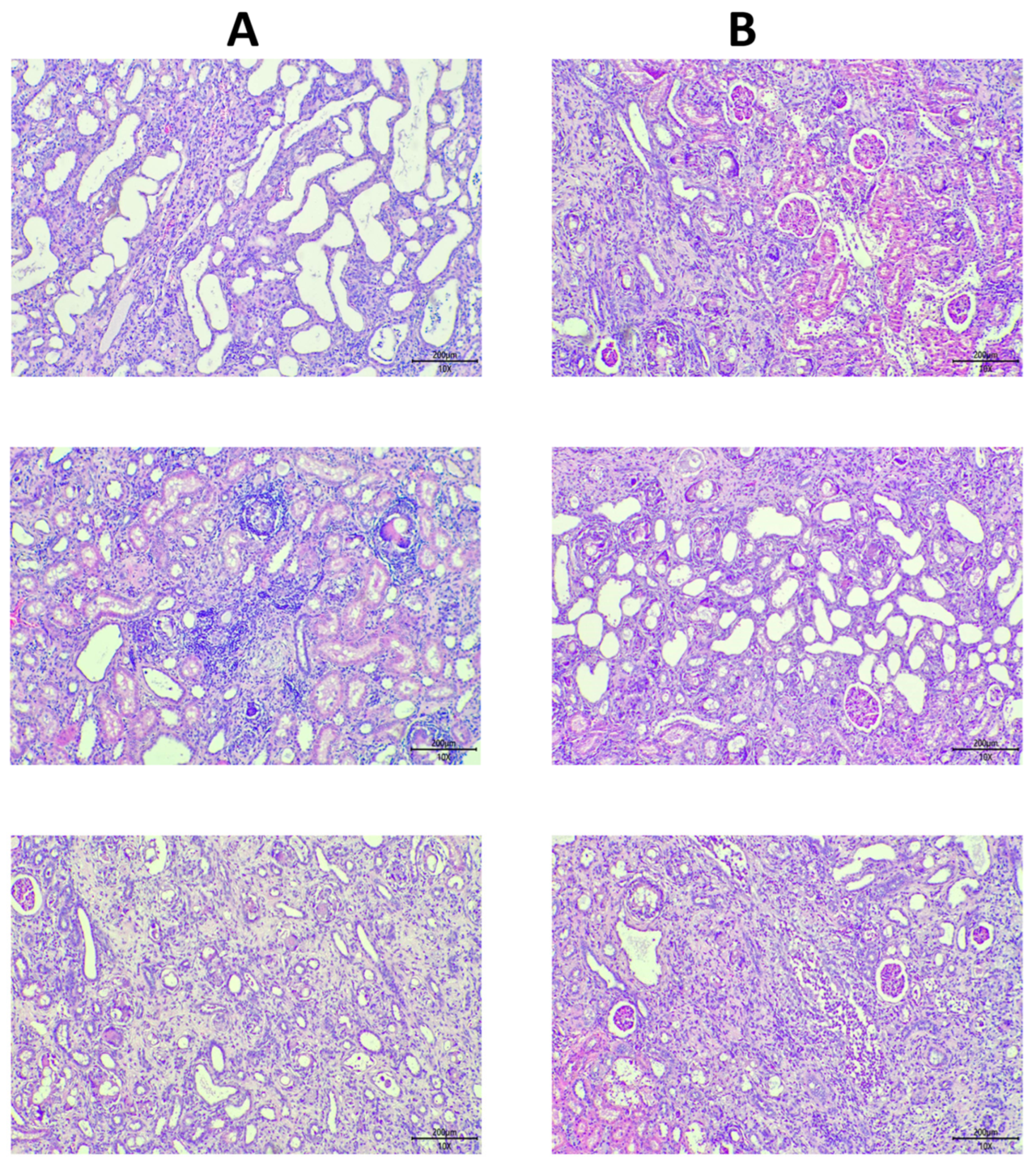 Biomolecules 15 01647 g007