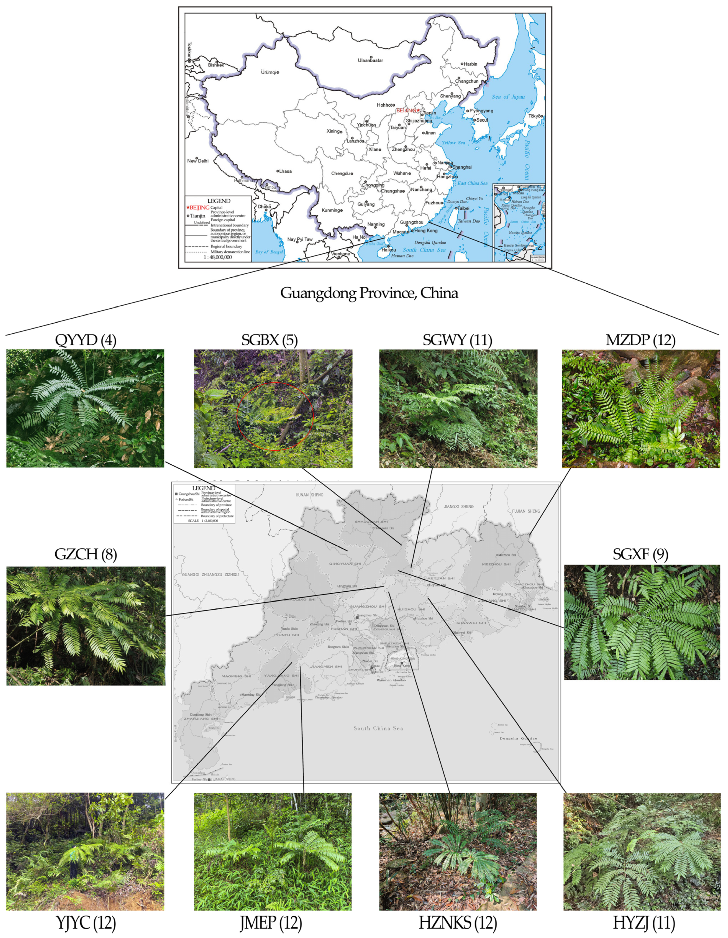 Biomolecules 15 01649 g001 Biomolecules 15 01649 g001