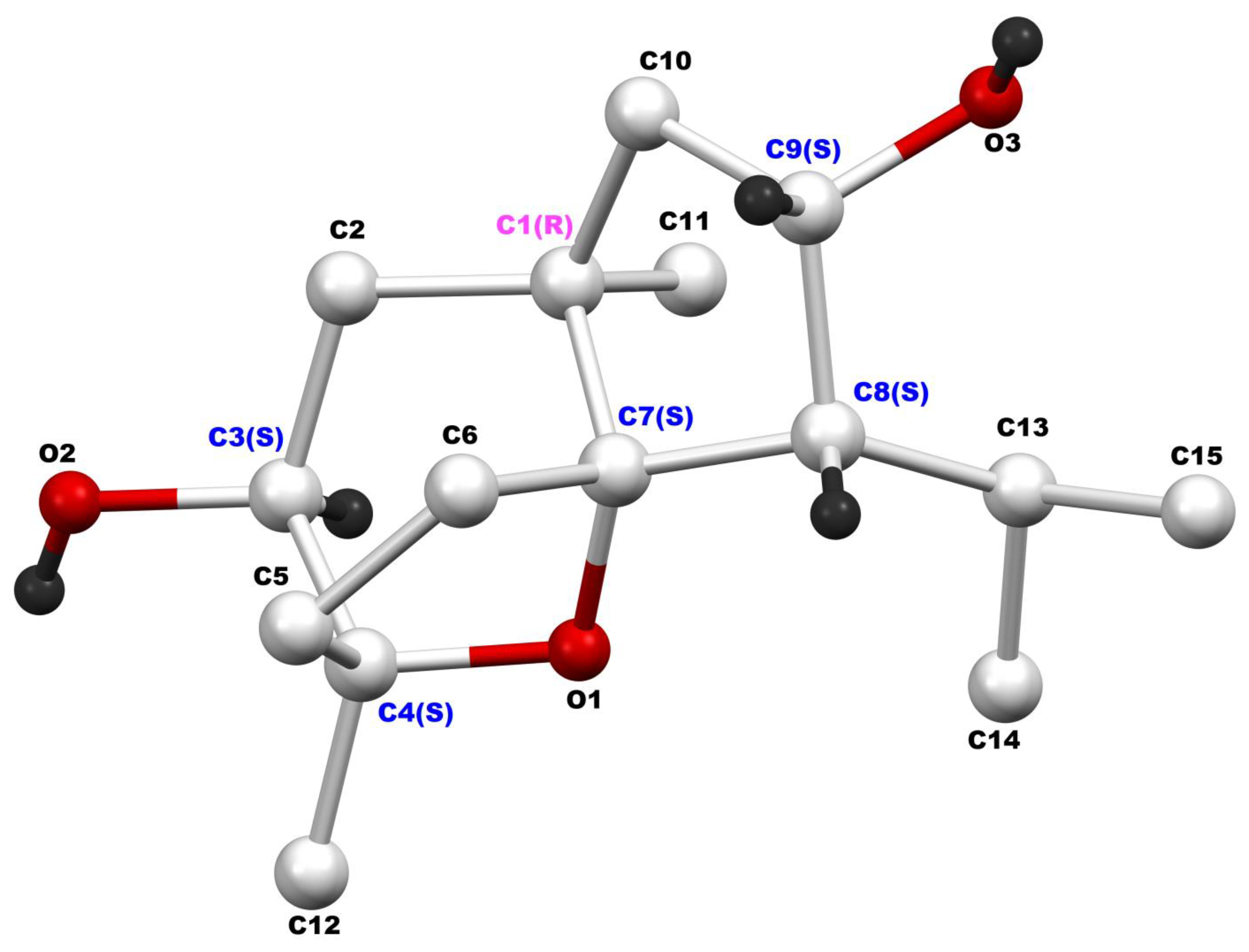 Biomolecules 15 01651 g004 Biomolecules 15 01651 g004