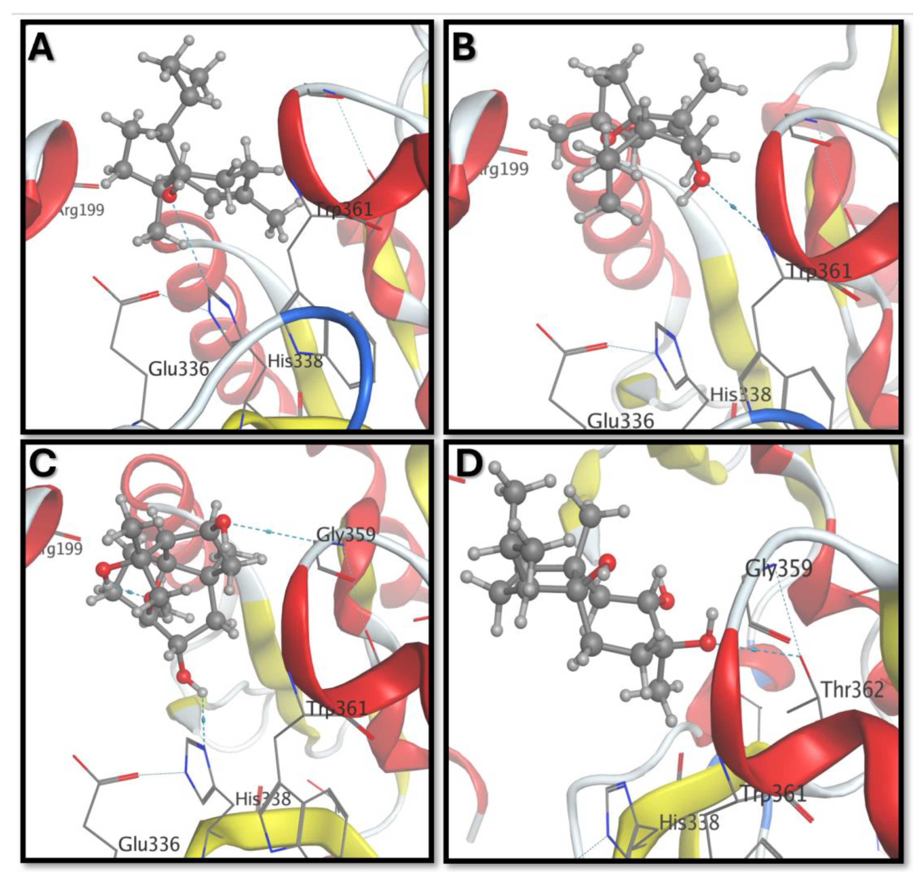 Biomolecules 15 01651 g005 Biomolecules 15 01651 g005
