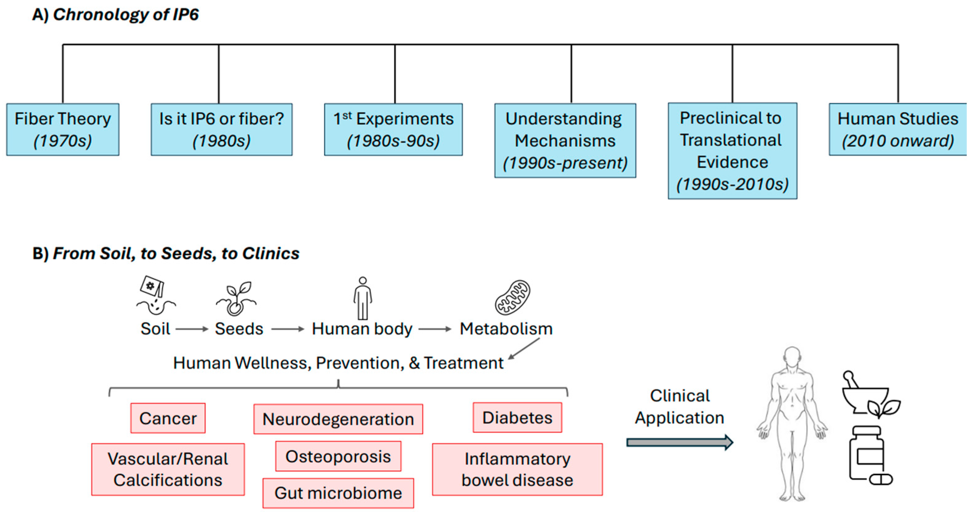 Biomolecules 15 01652 g001
