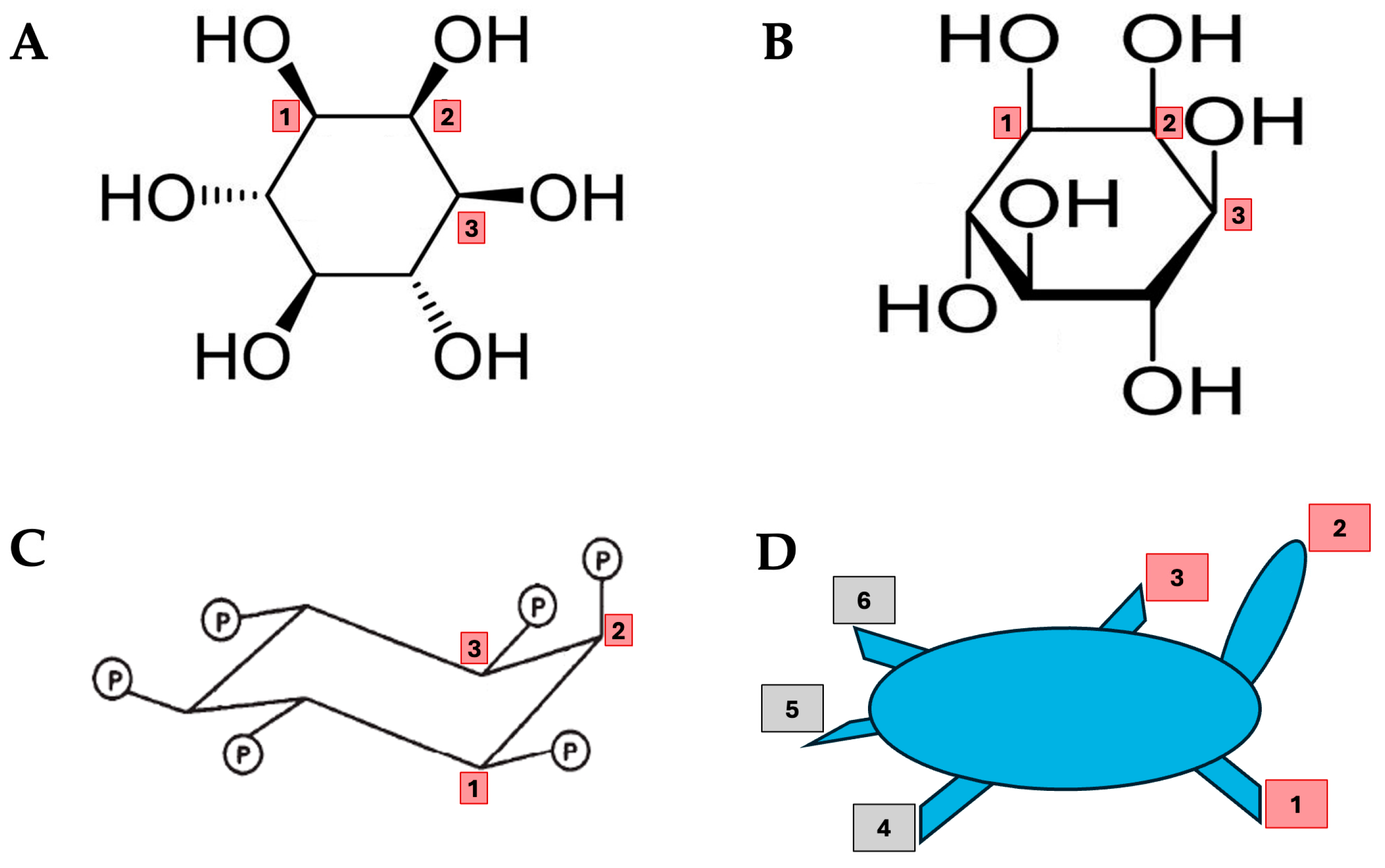 Biomolecules 15 01652 g002