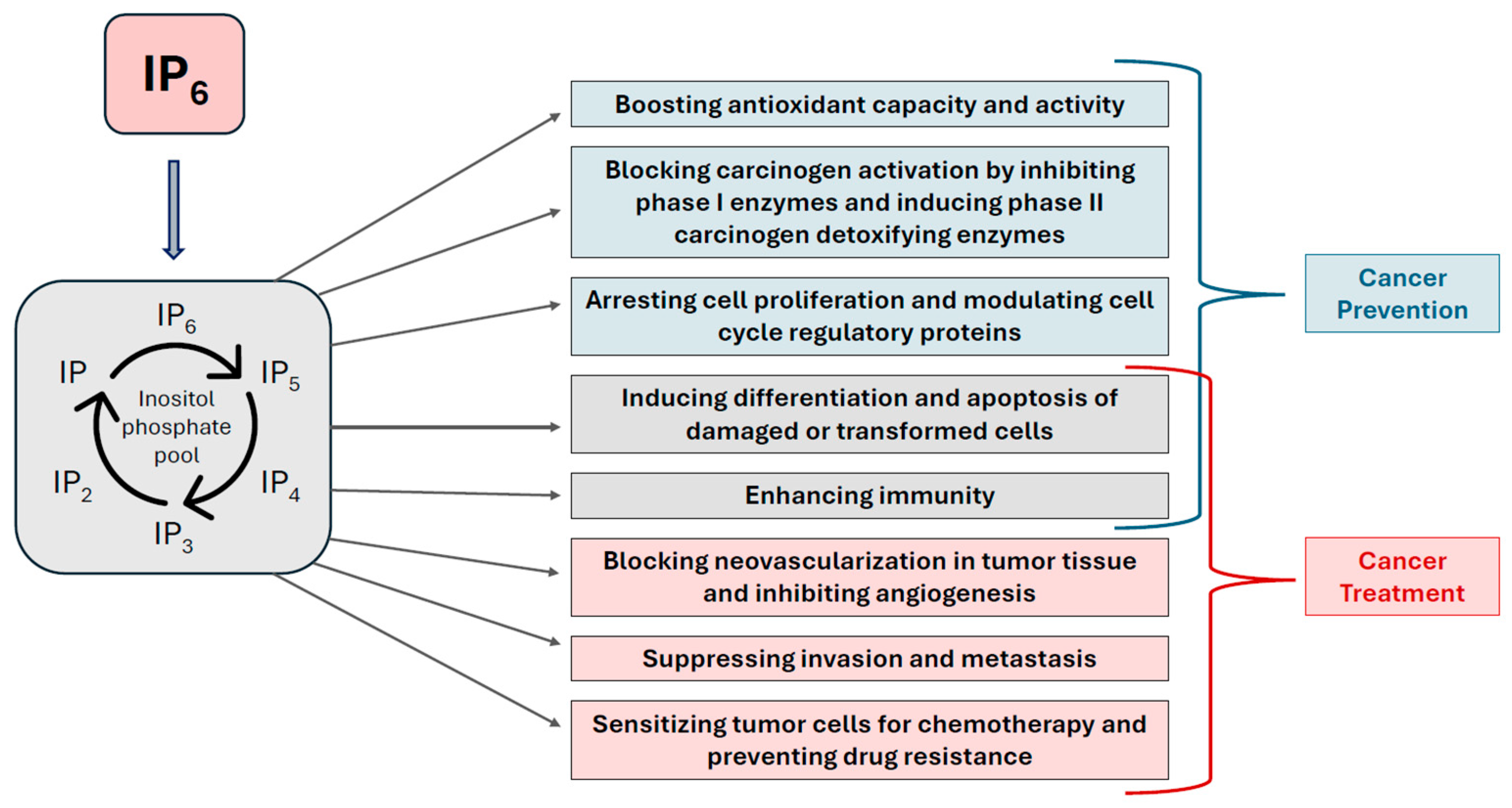 Biomolecules 15 01652 g003